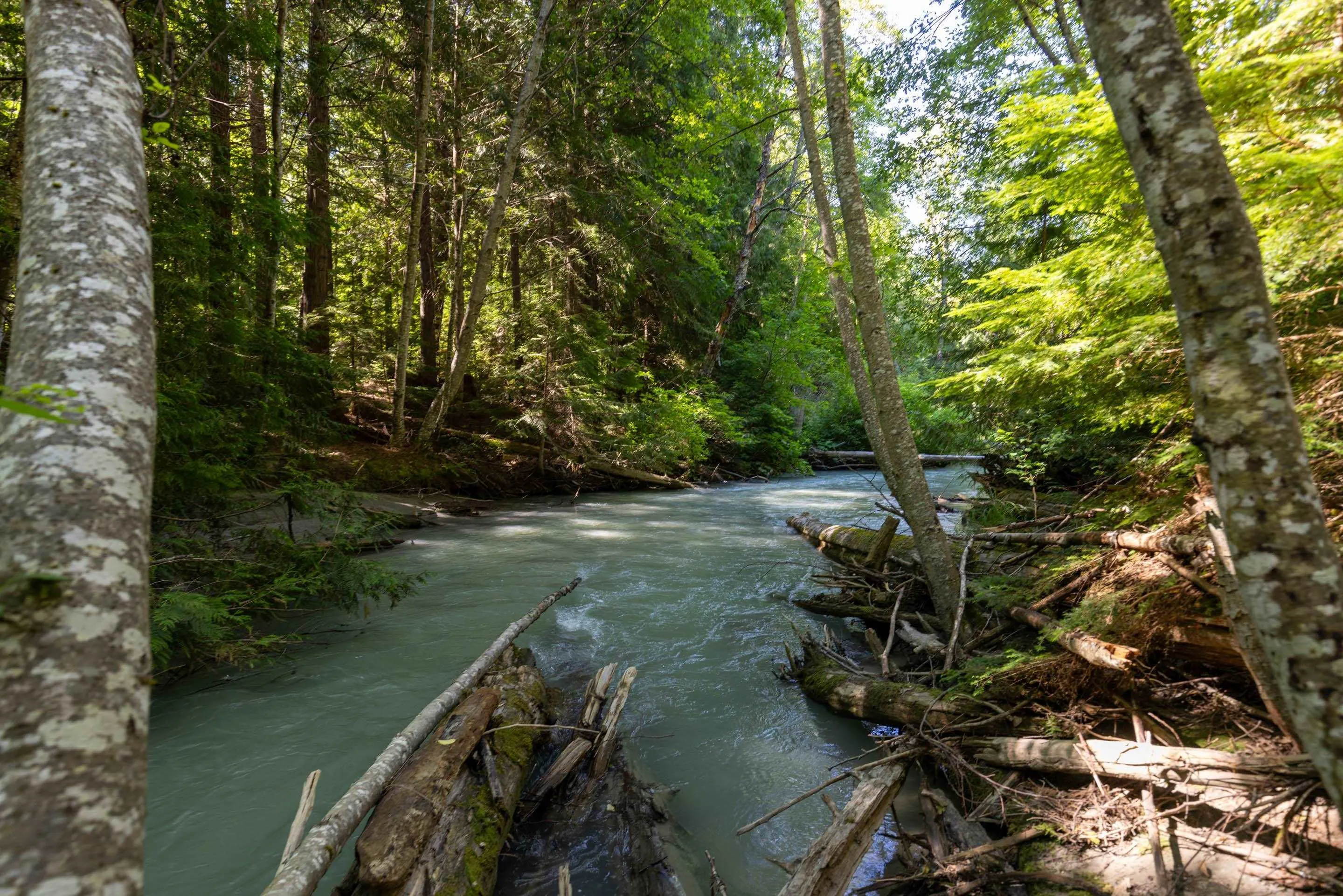 8896 Pemberton Portage Road