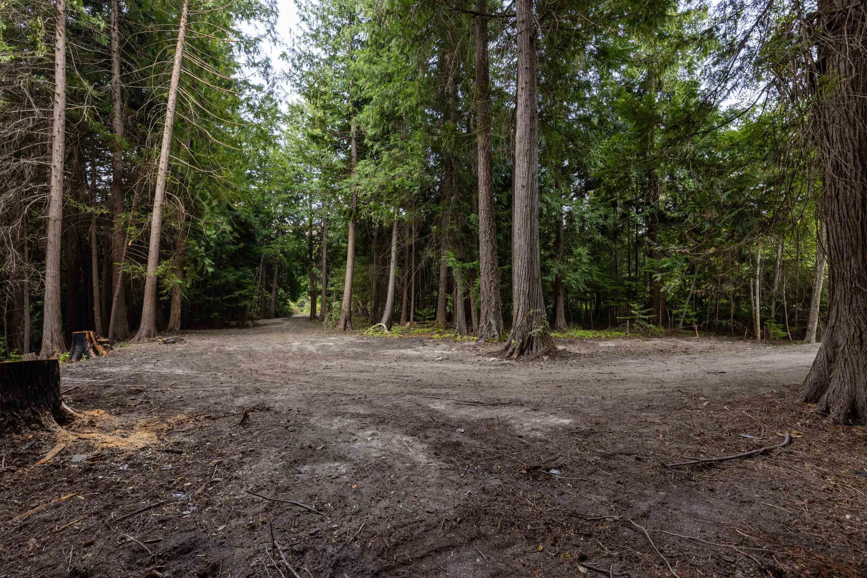 8896 Pemberton Portage Road