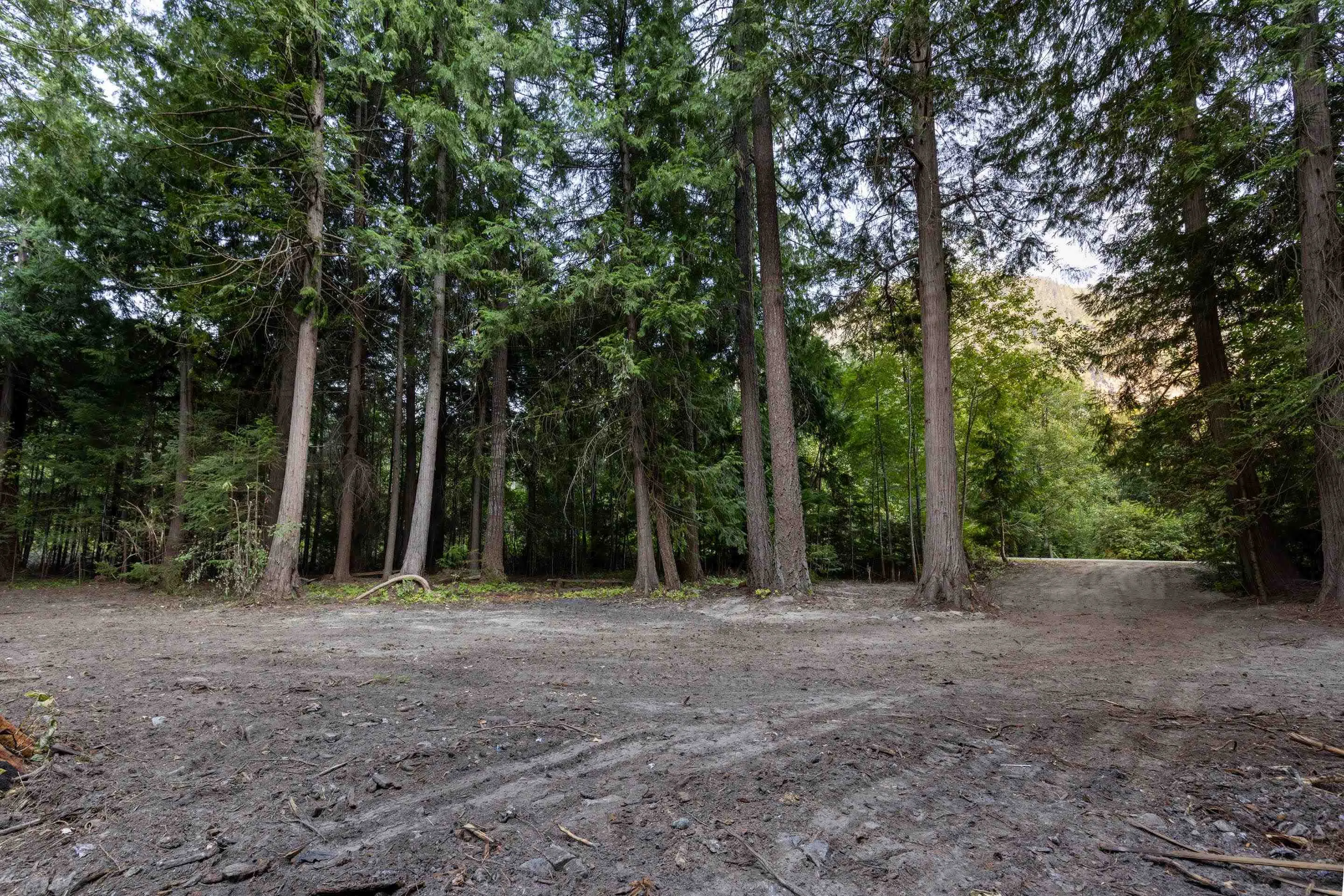 8896 Pemberton Portage Road