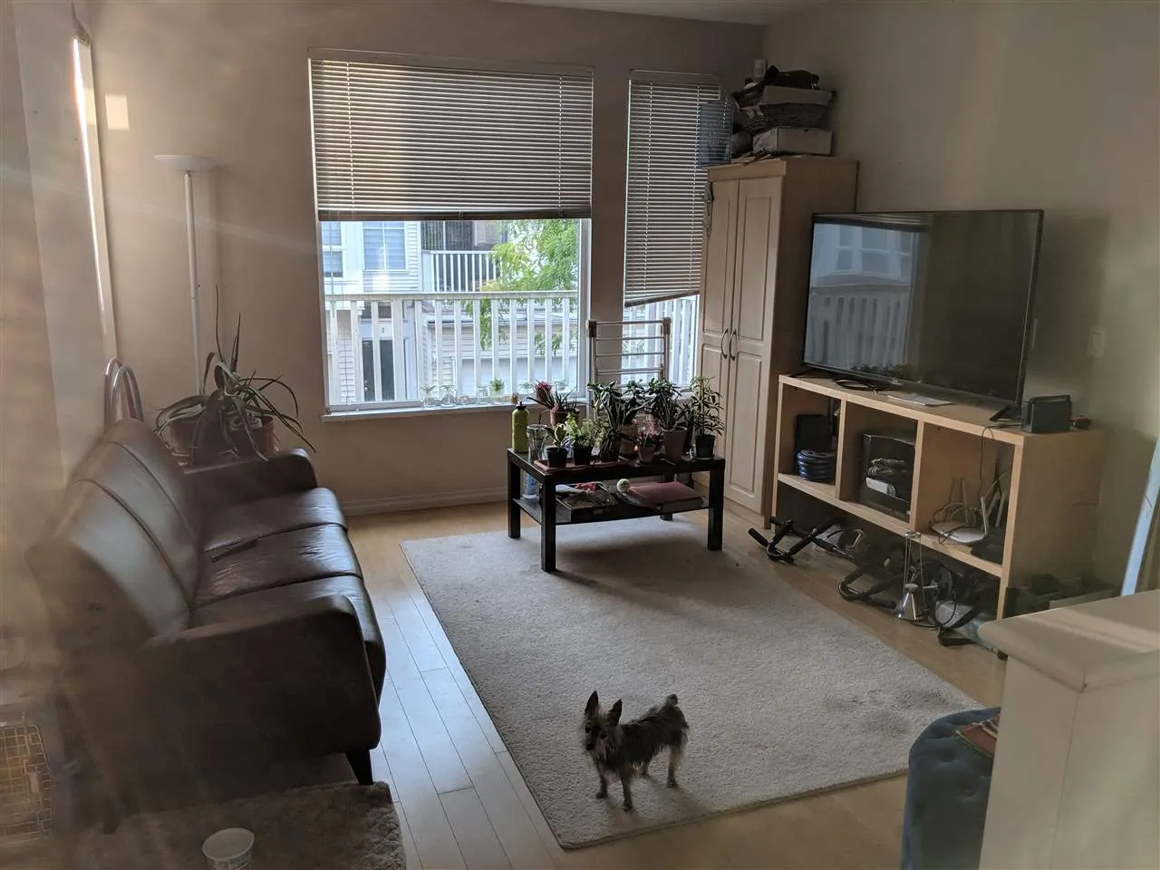 ROOM in SHARED 12331 Mcneely Drive