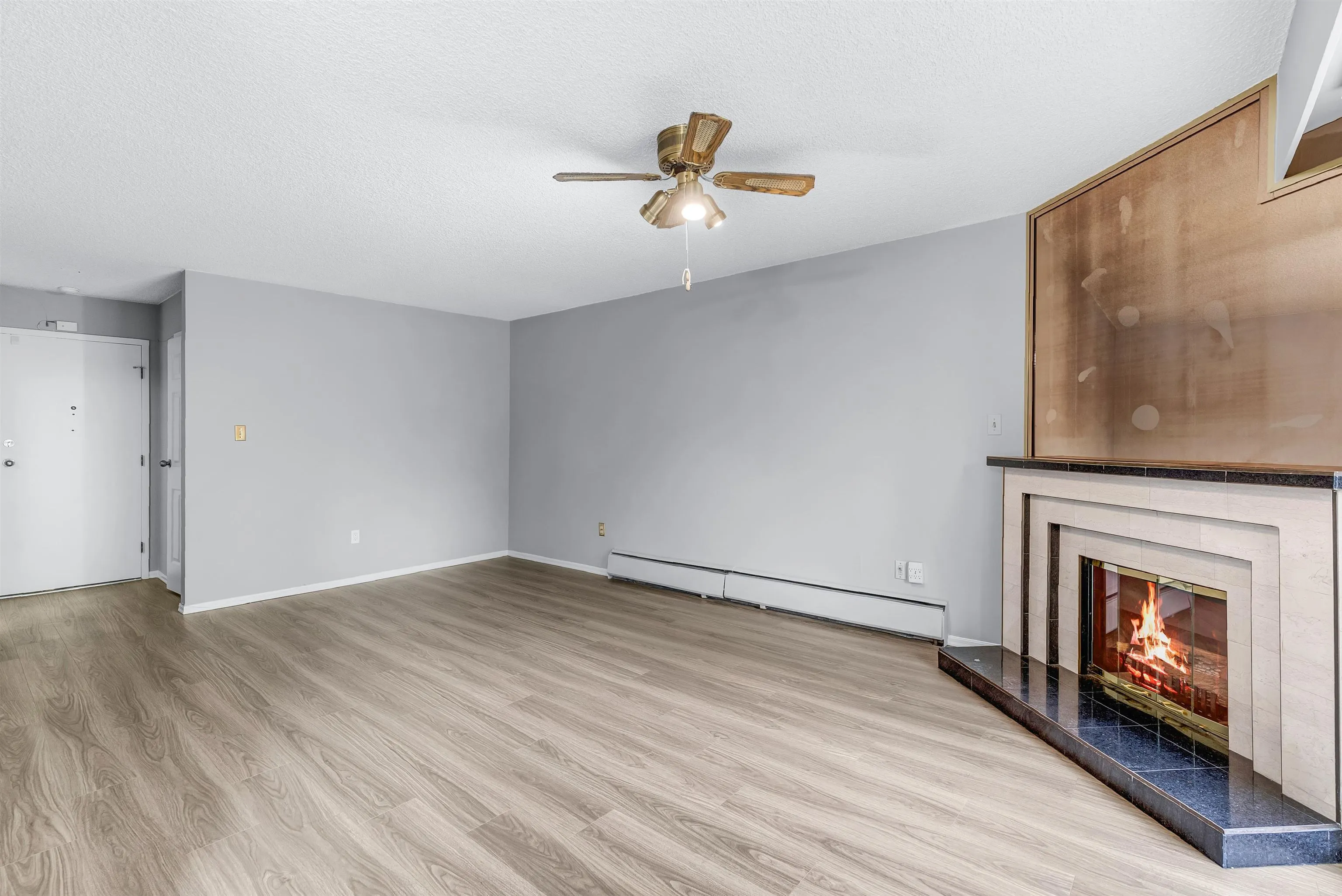 3901 Carrigan Court