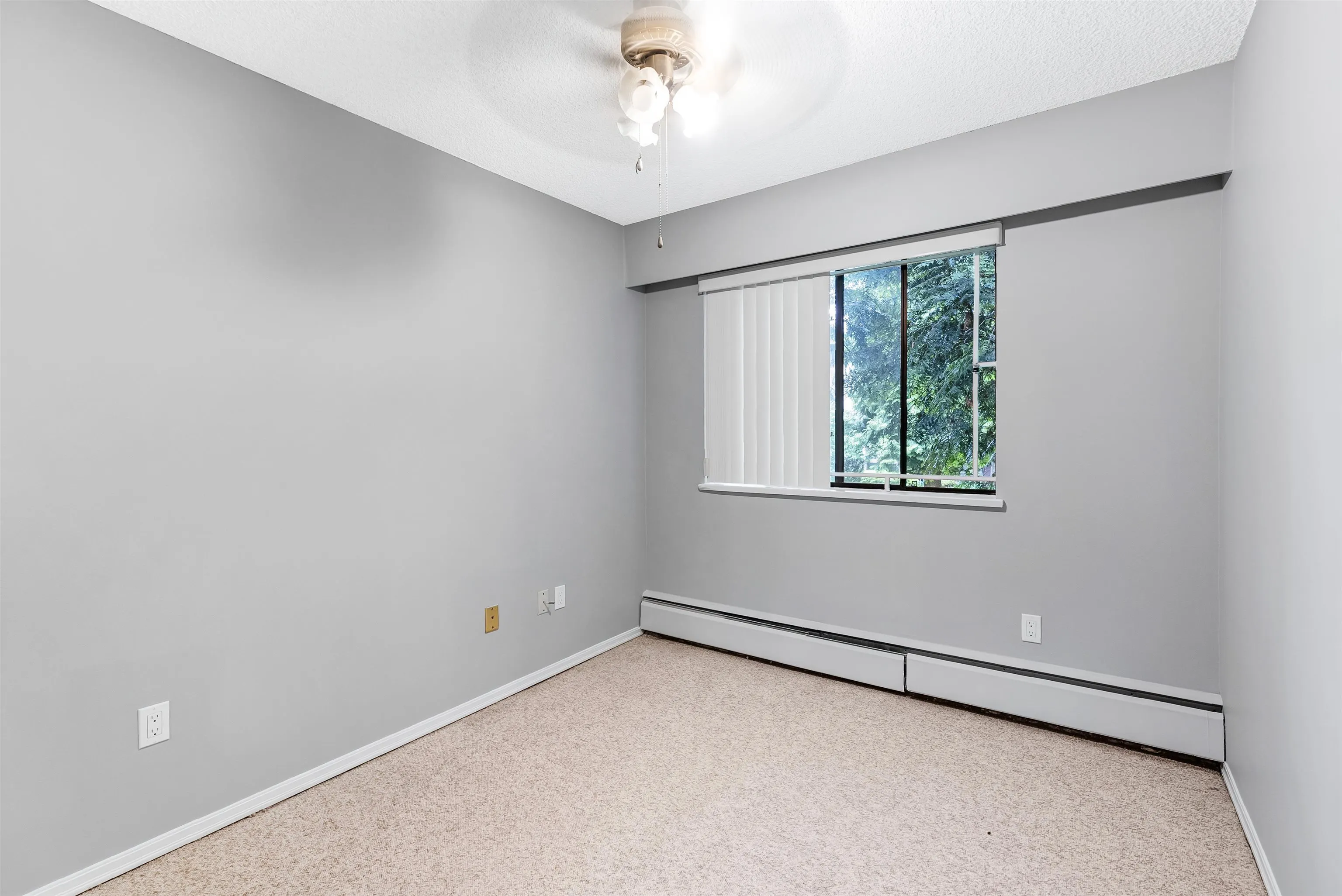 3901 Carrigan Court