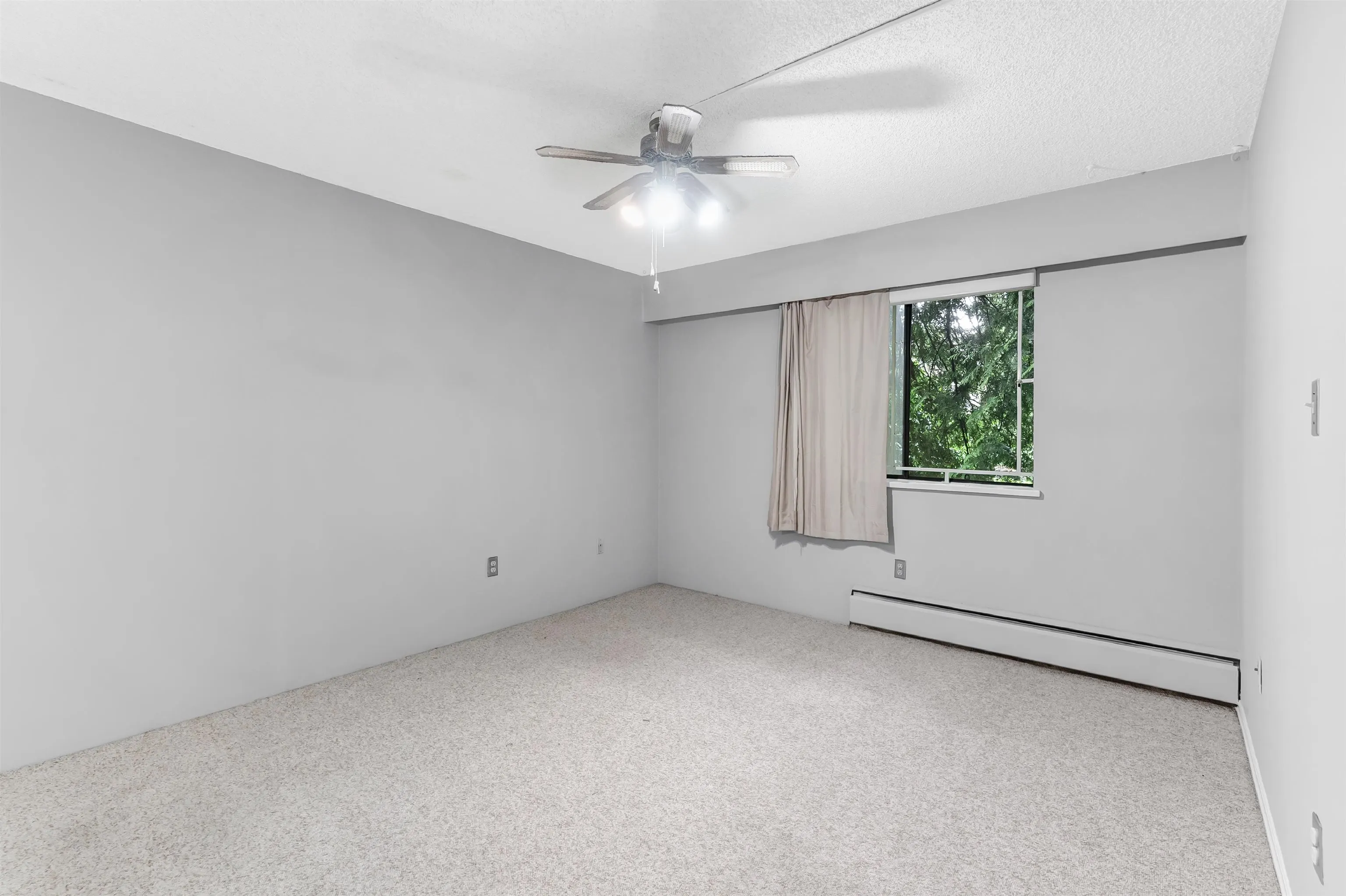 3901 Carrigan Court