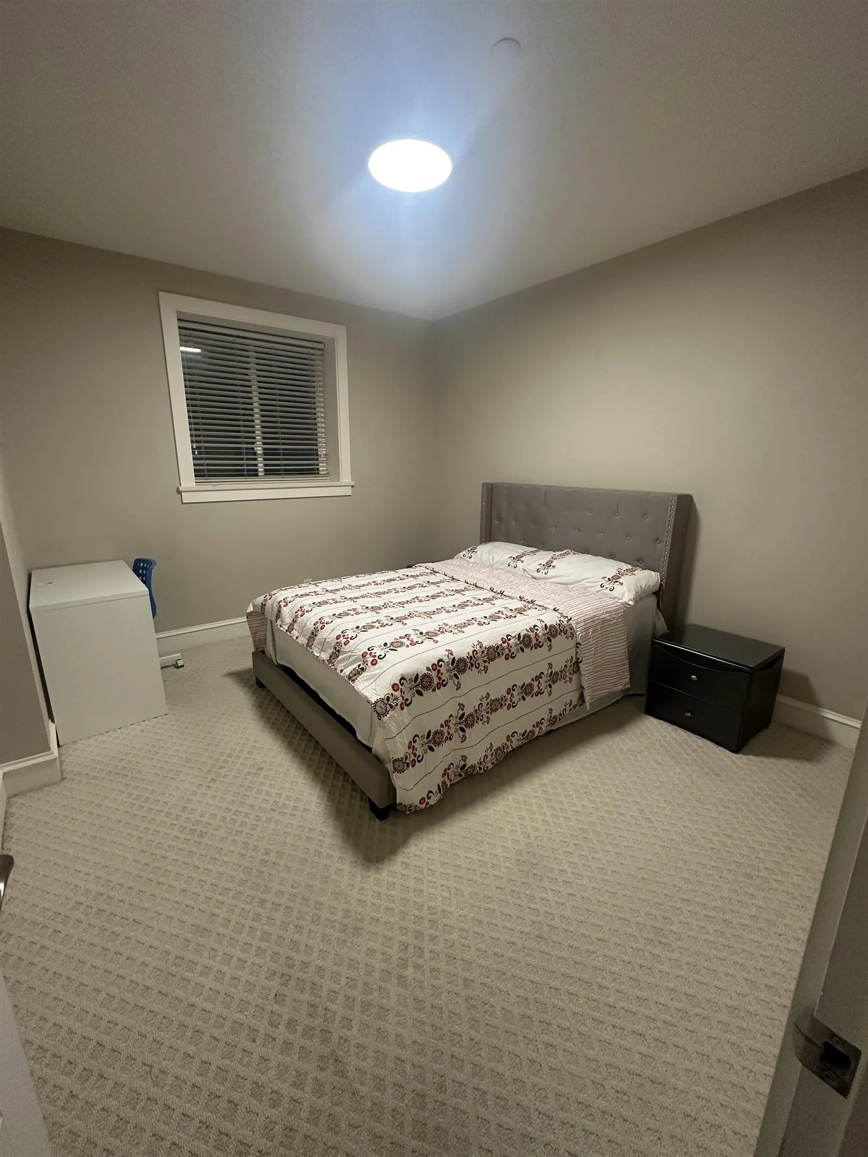 Basement Suite 1498 Palmerston Avenue