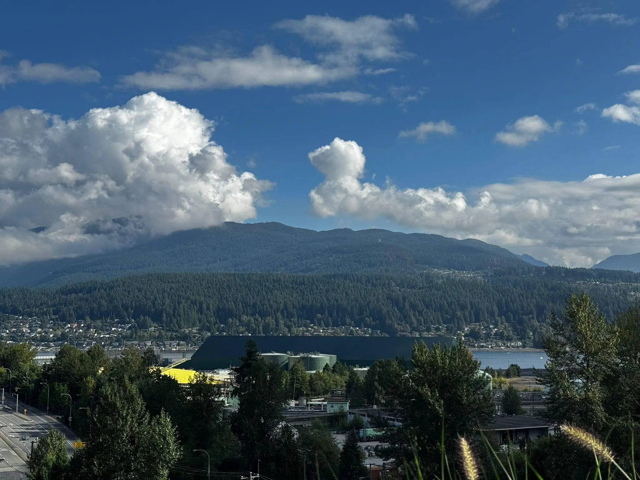 403 1205 St Johns St, Port Moody, Bc Street