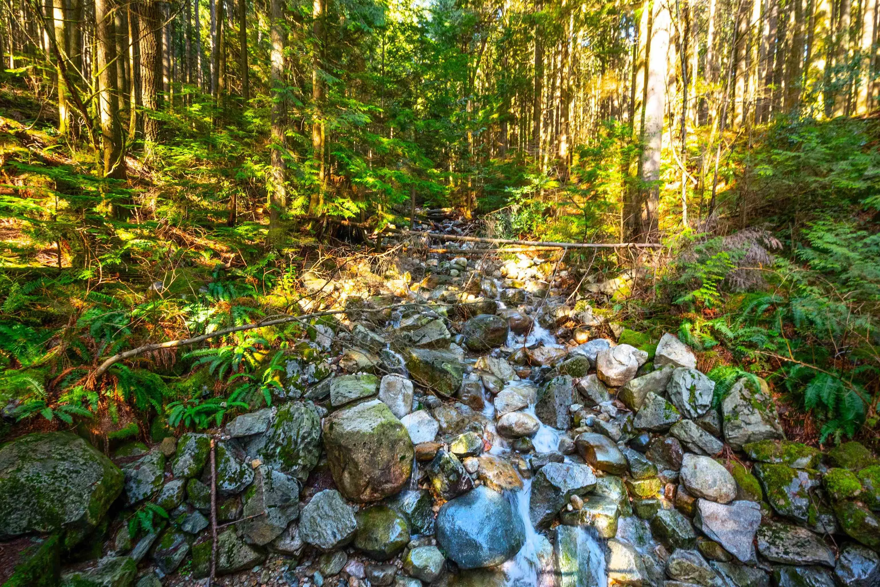 6 1015 Lynn Valley Road