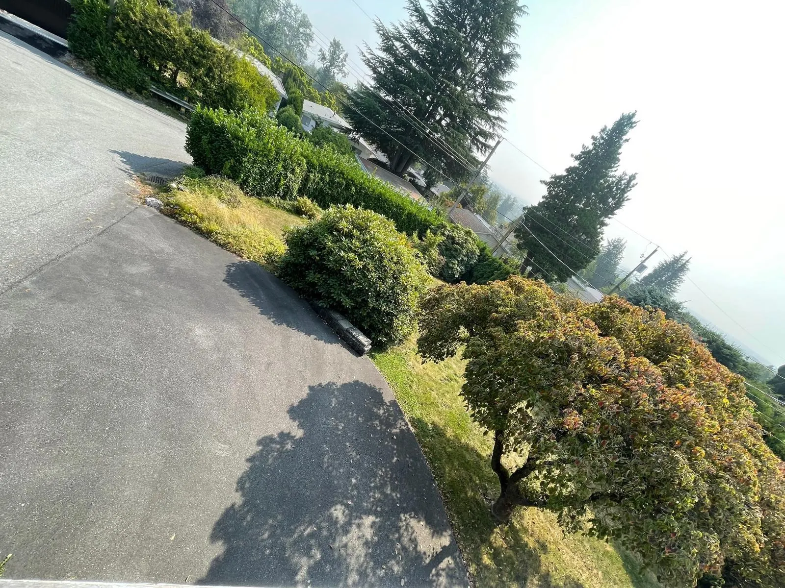 2354 Harrison Drive