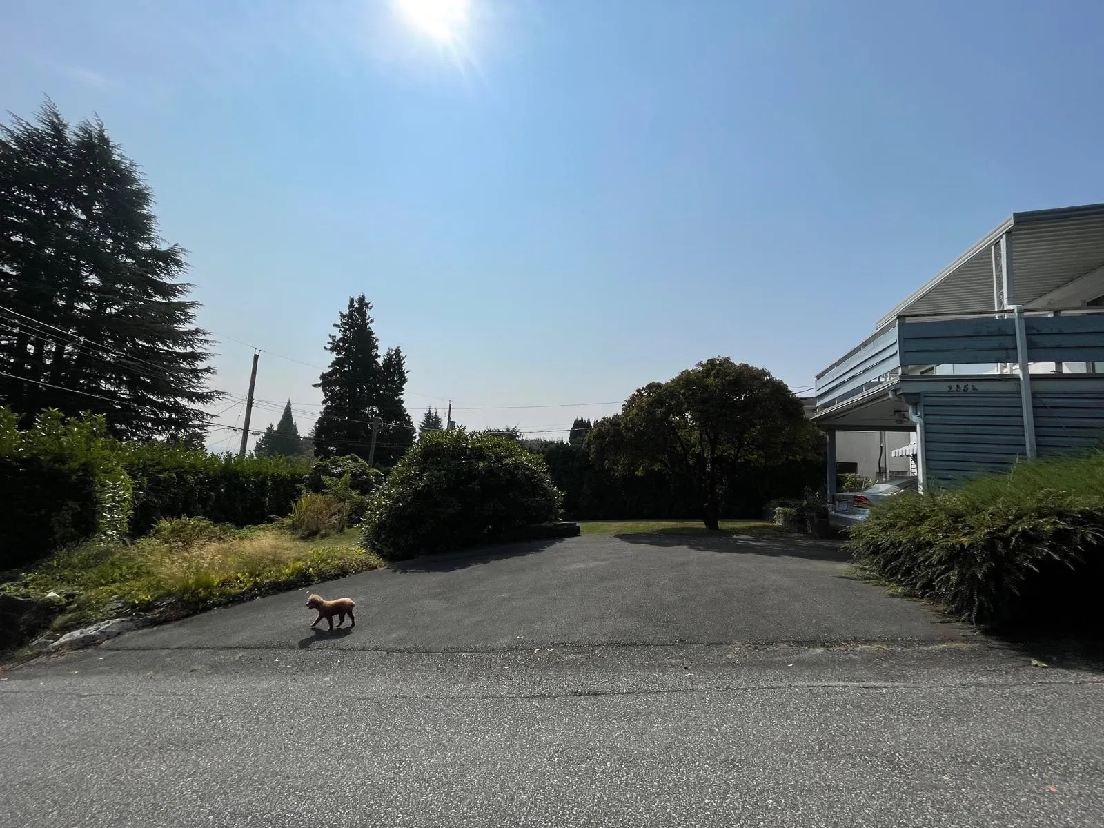 2354 Harrison Drive