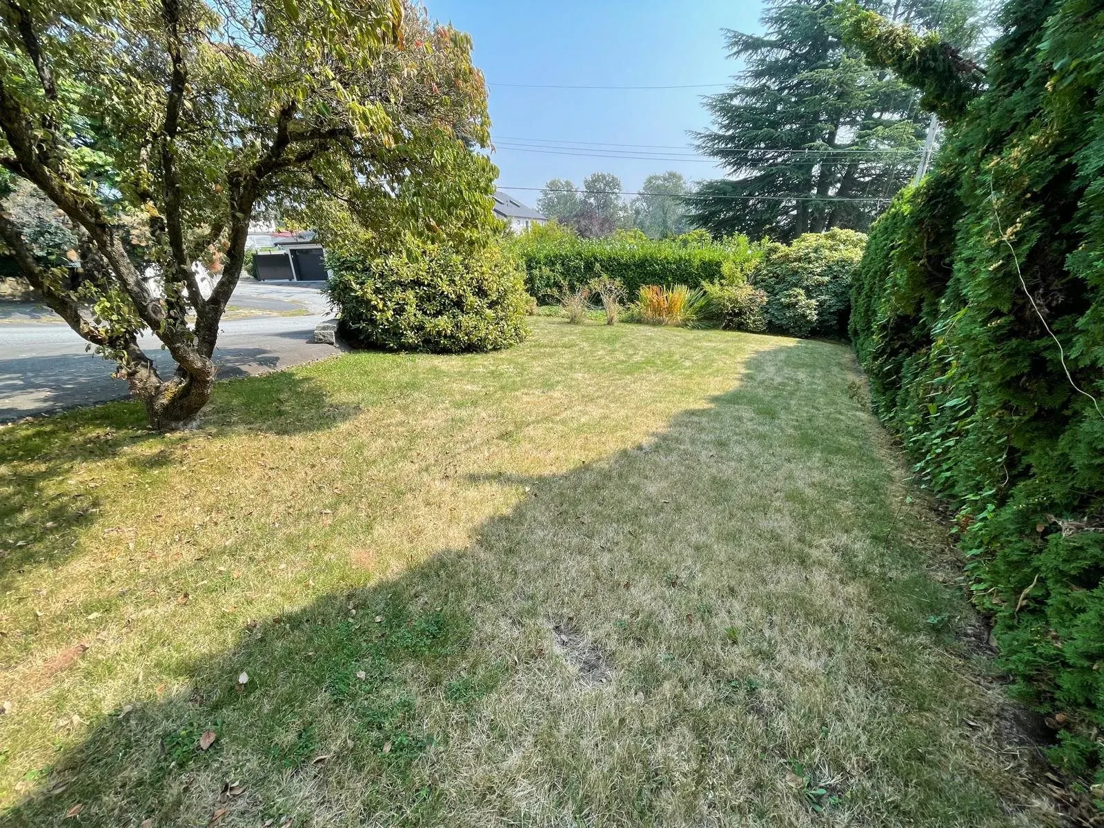 2354 Harrison Drive