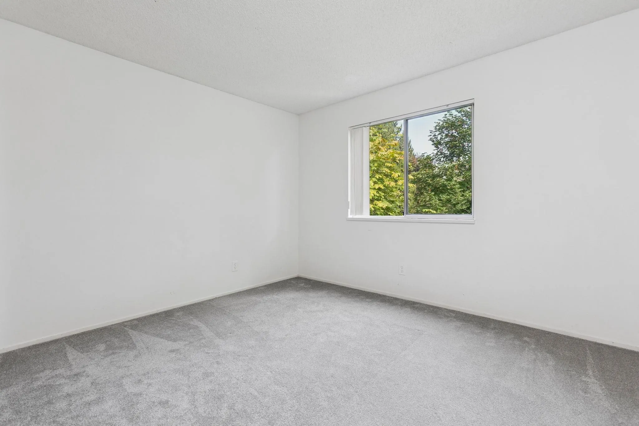 65 Seaview Drive