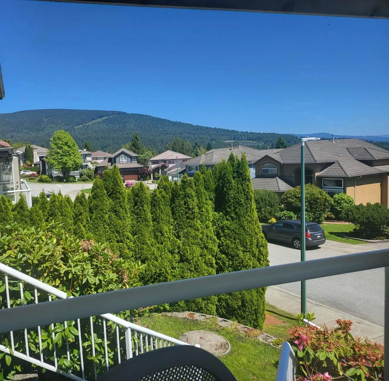 2955 Blackbear Court