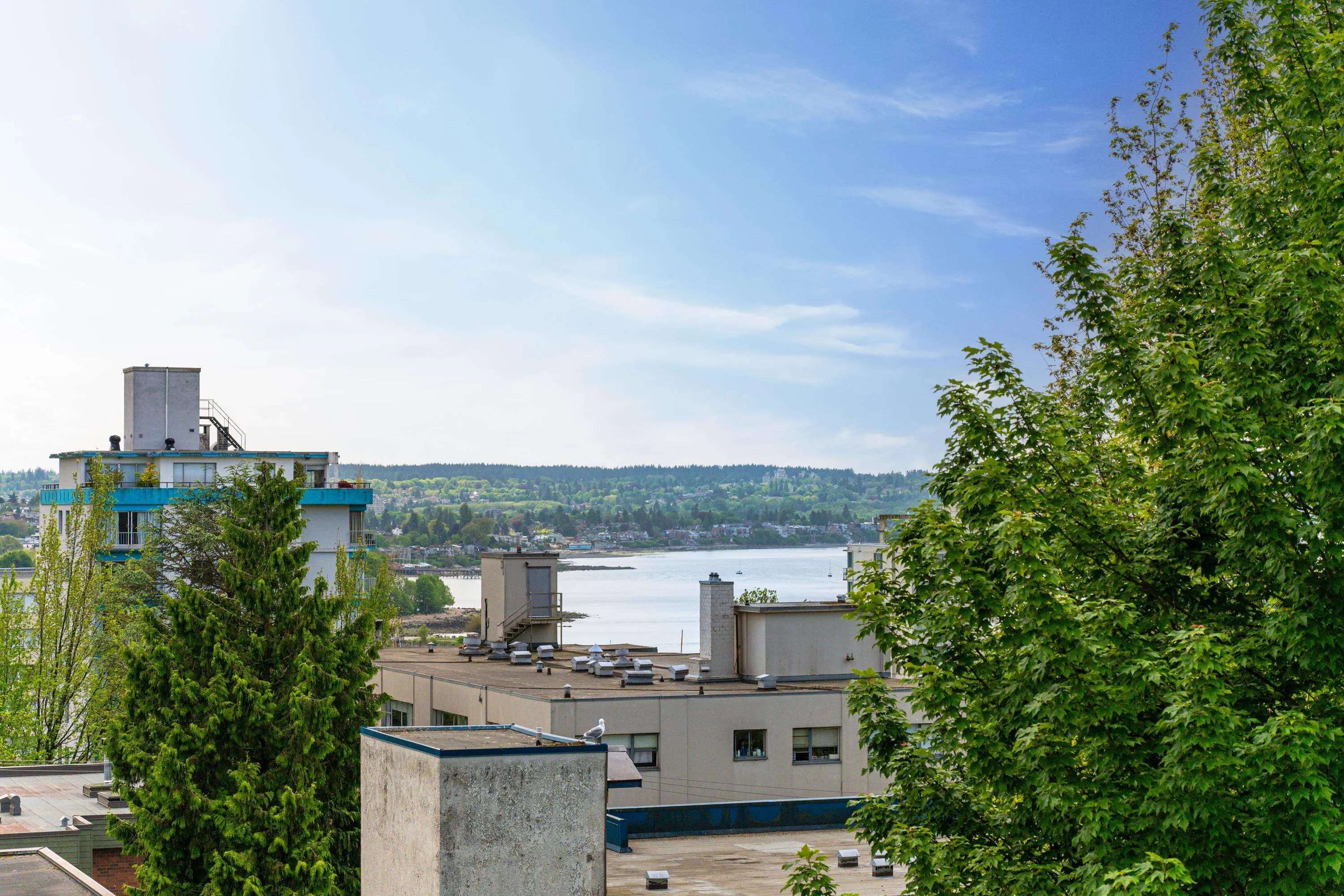 501 1345 Burnaby Street