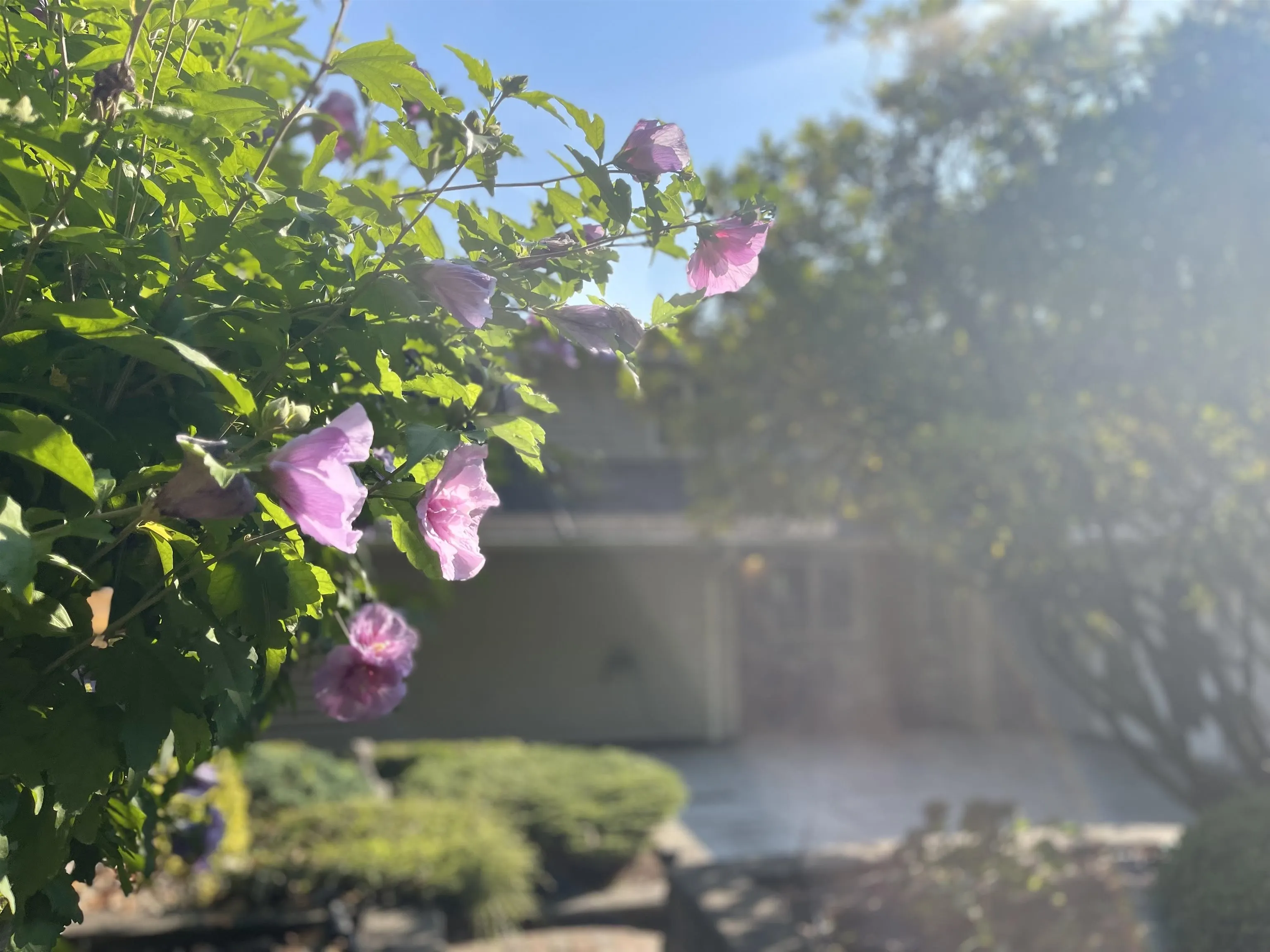 539 Newcroft Place
