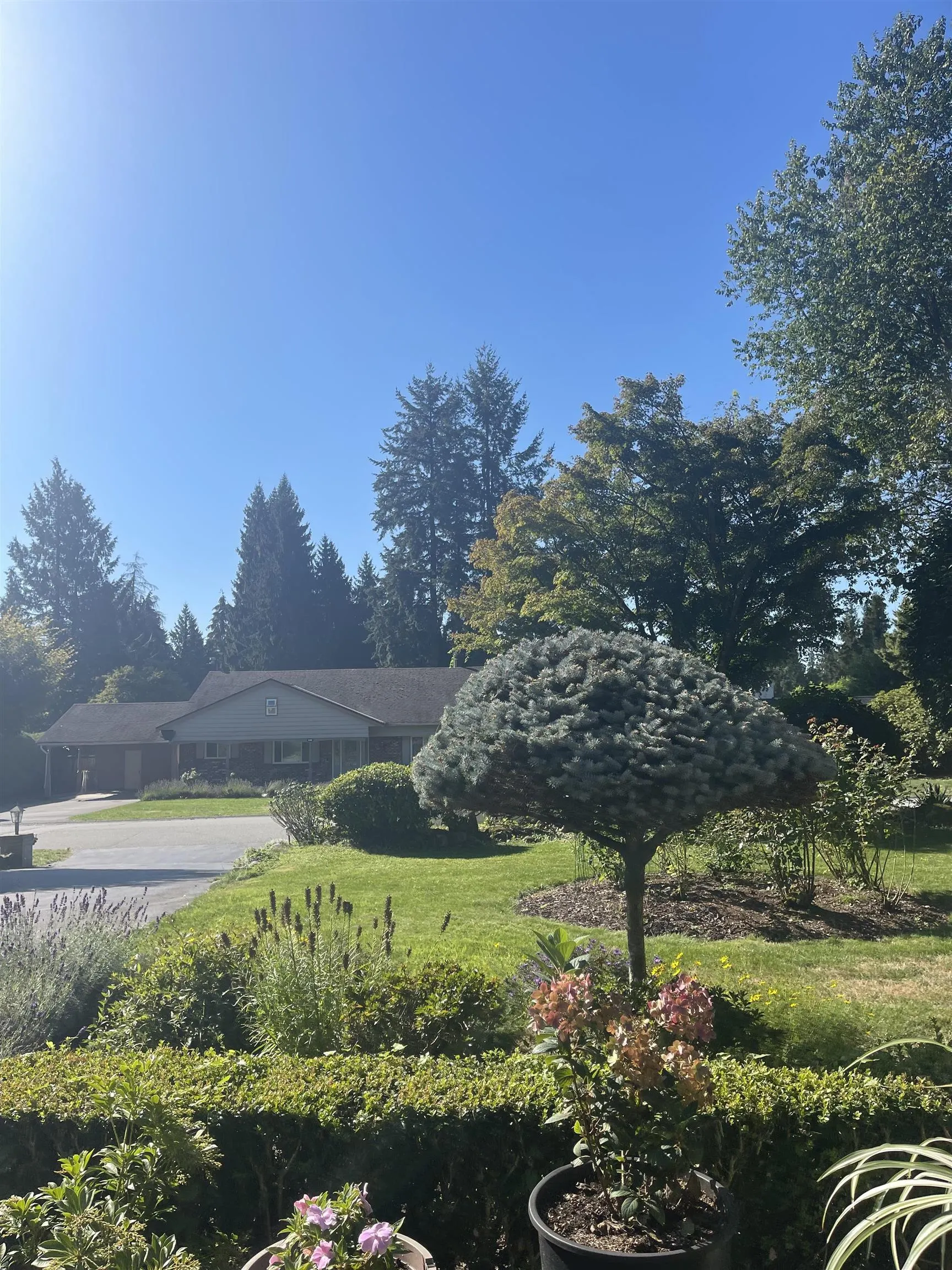 539 Newcroft Place