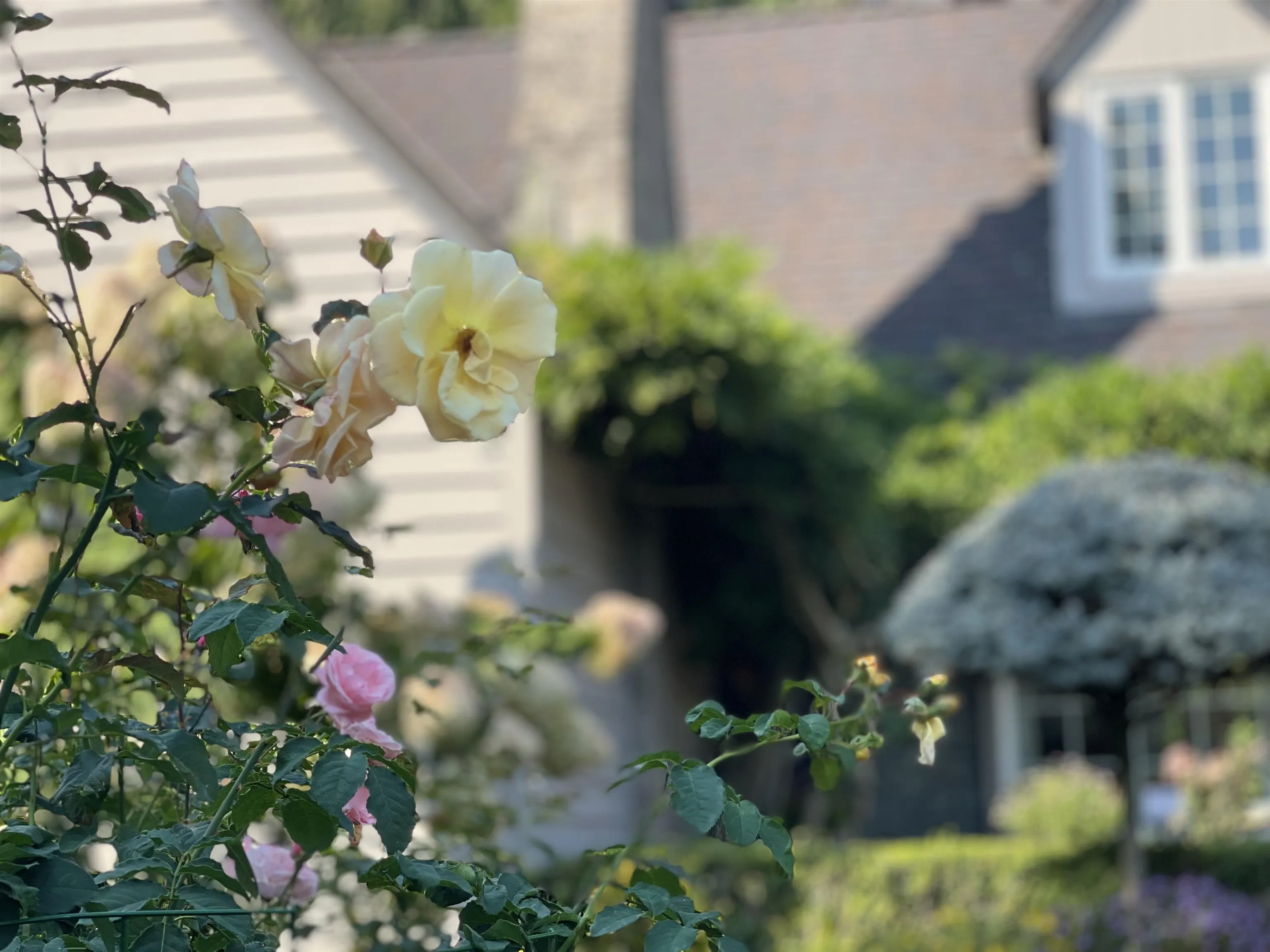 539 Newcroft Place
