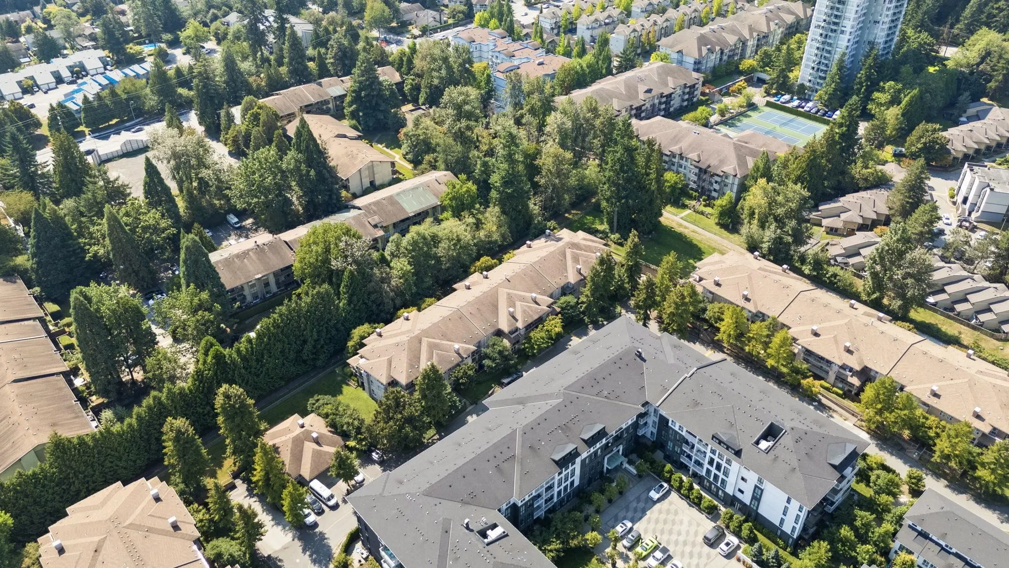204 14988 101a Avenue