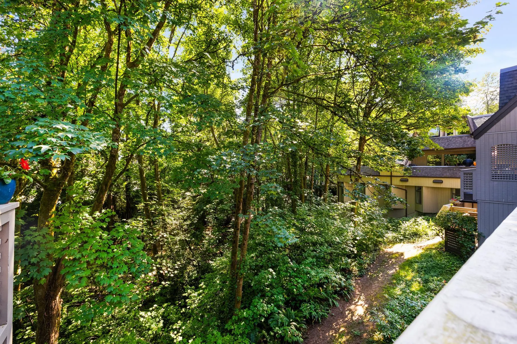 3182 Mountain Highway