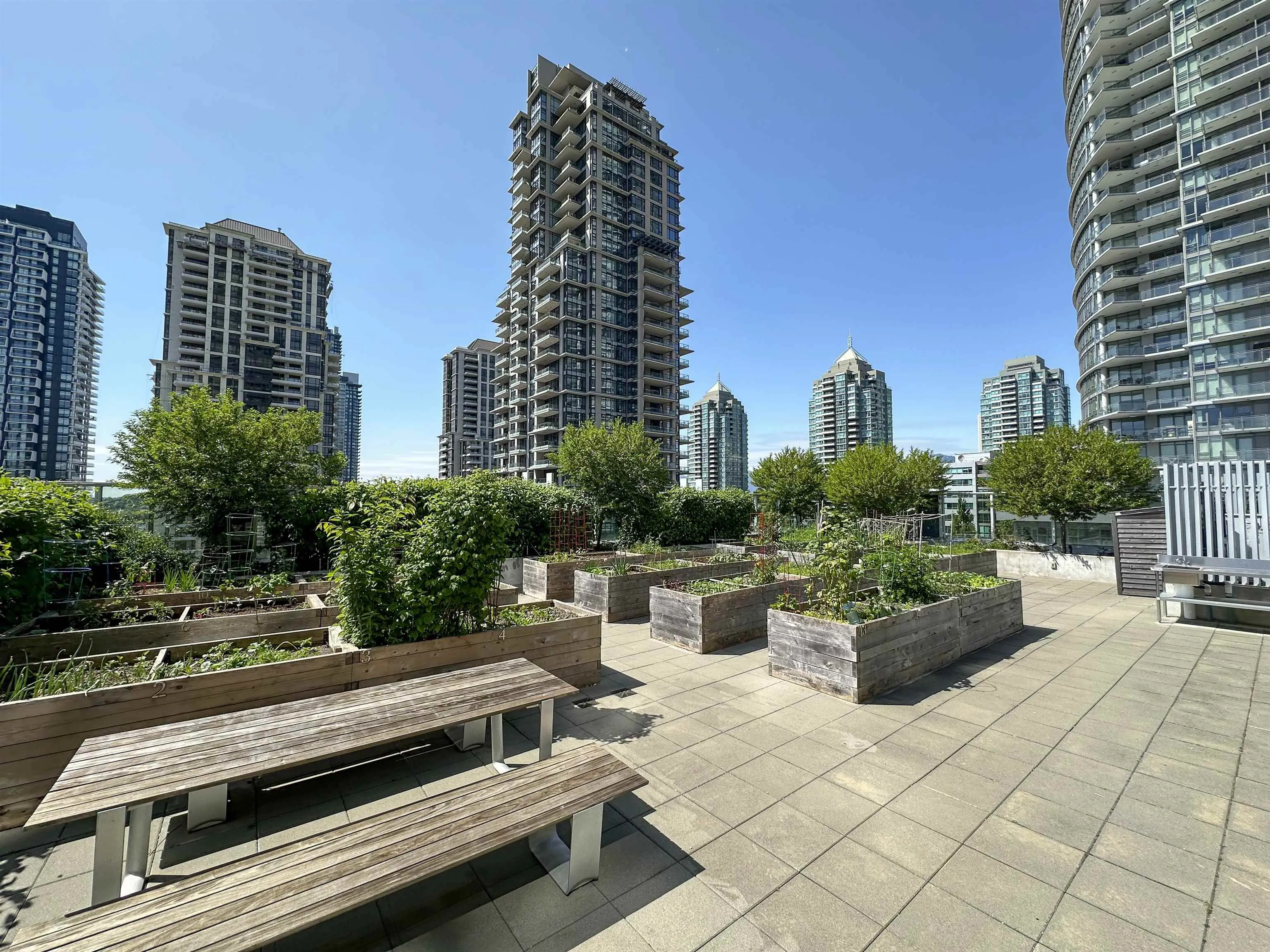 801 2085 Skyline Court