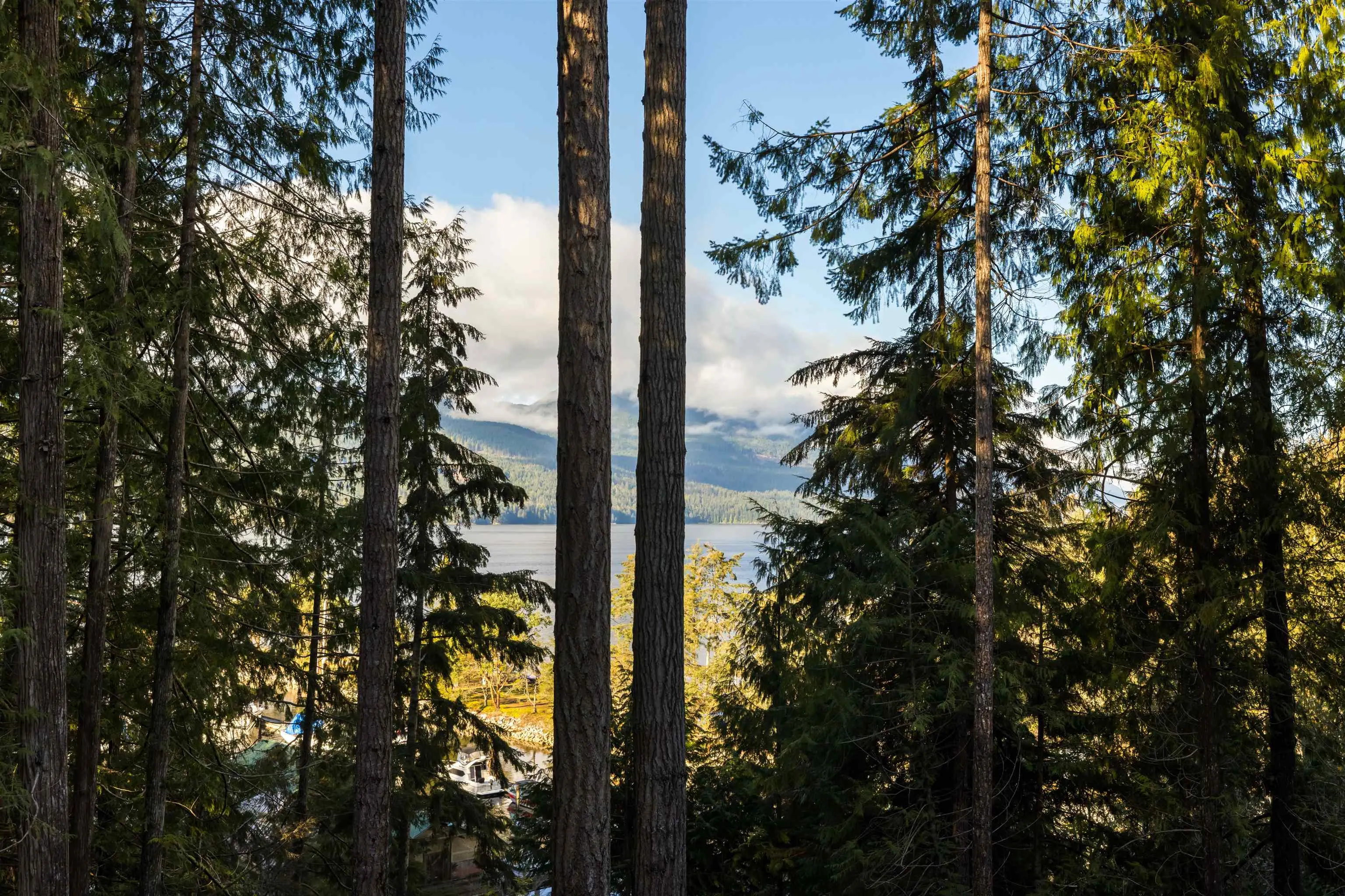 5792 Tillicum Bay Road