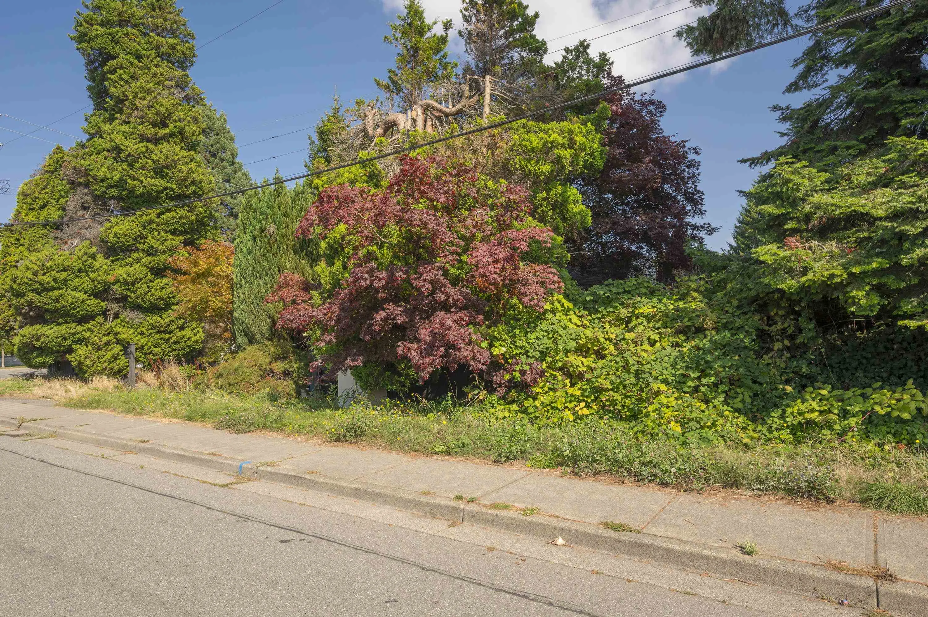 1590 Bishop Road
