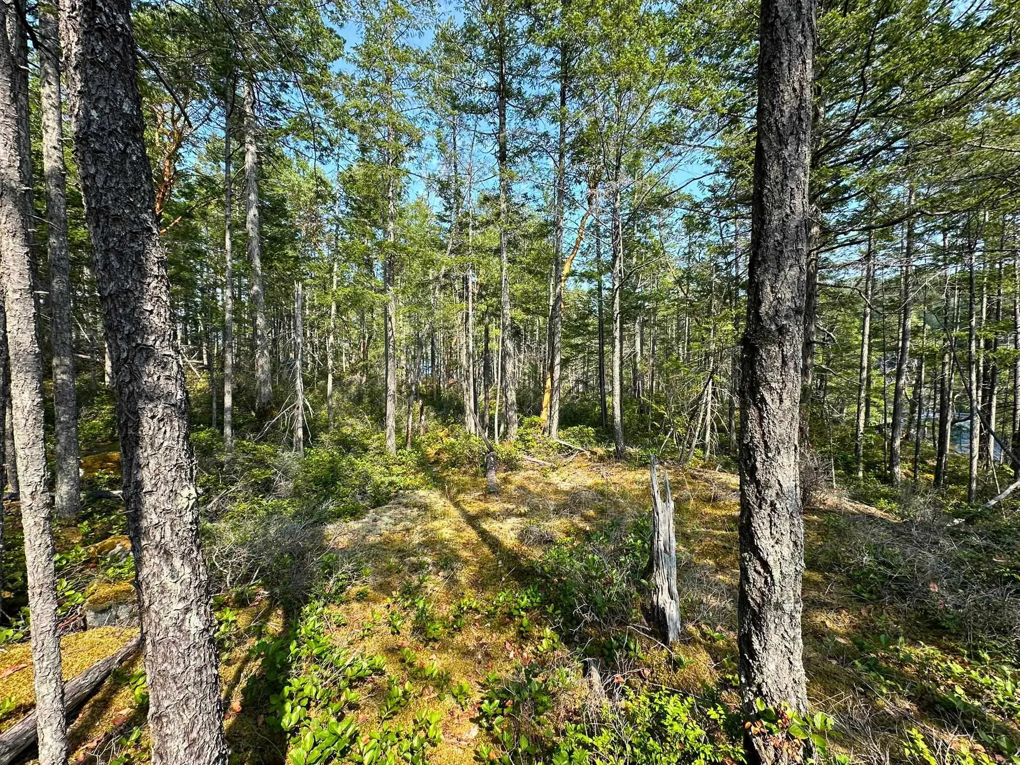 Lot A Kelly Island