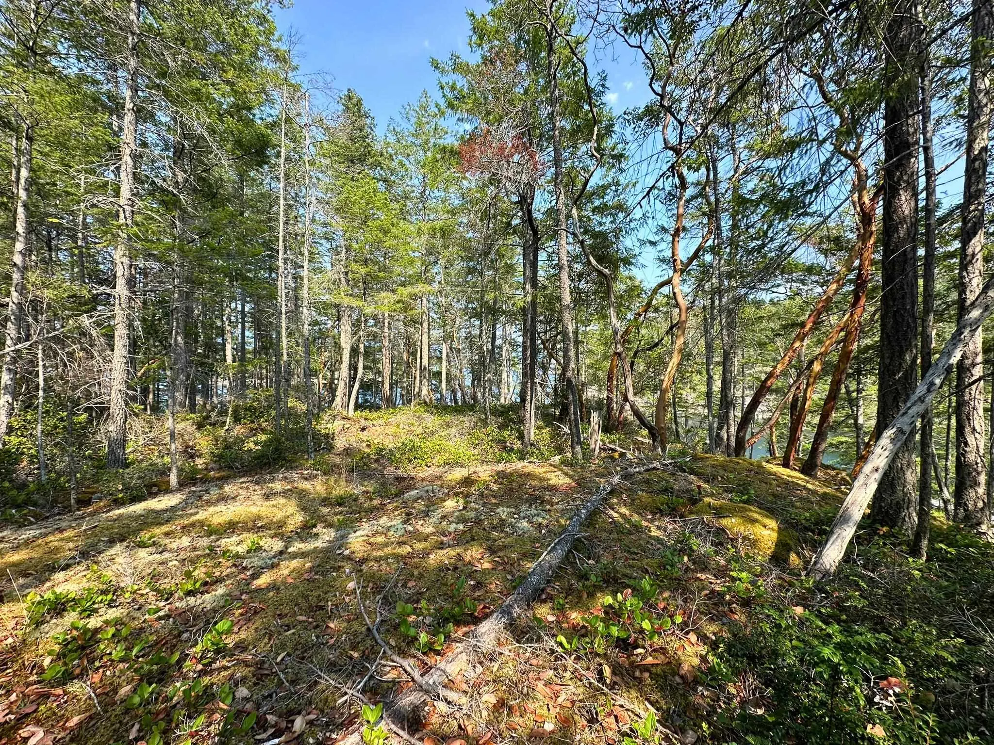 Lot A Kelly Island