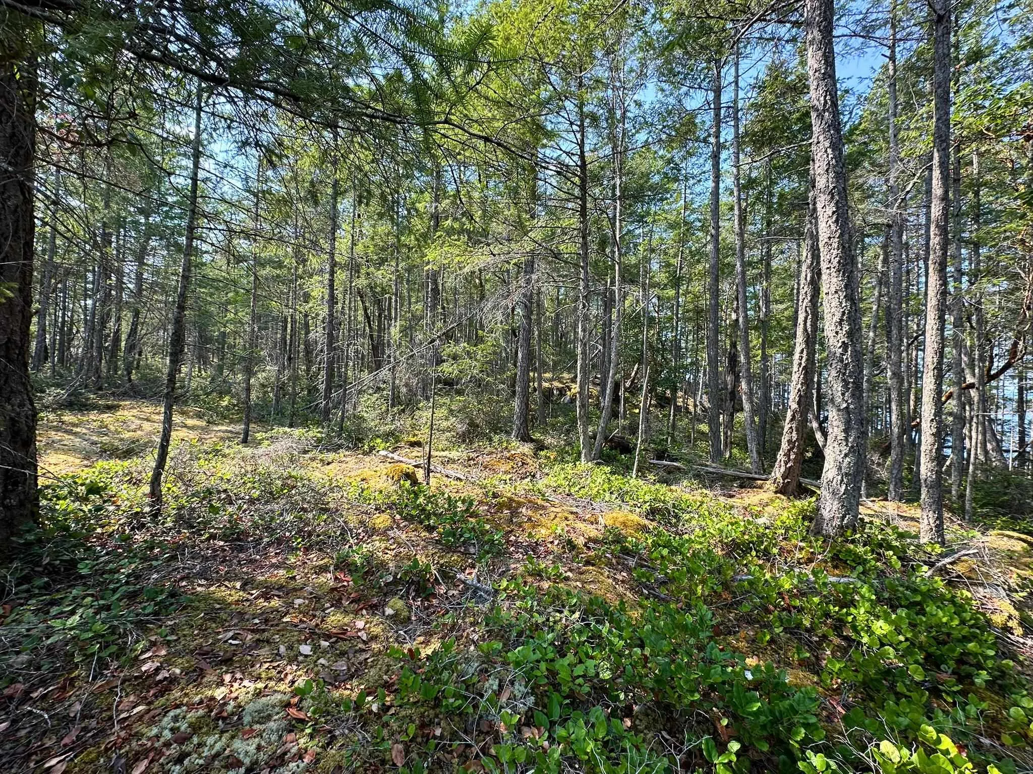 Lot A Kelly Island