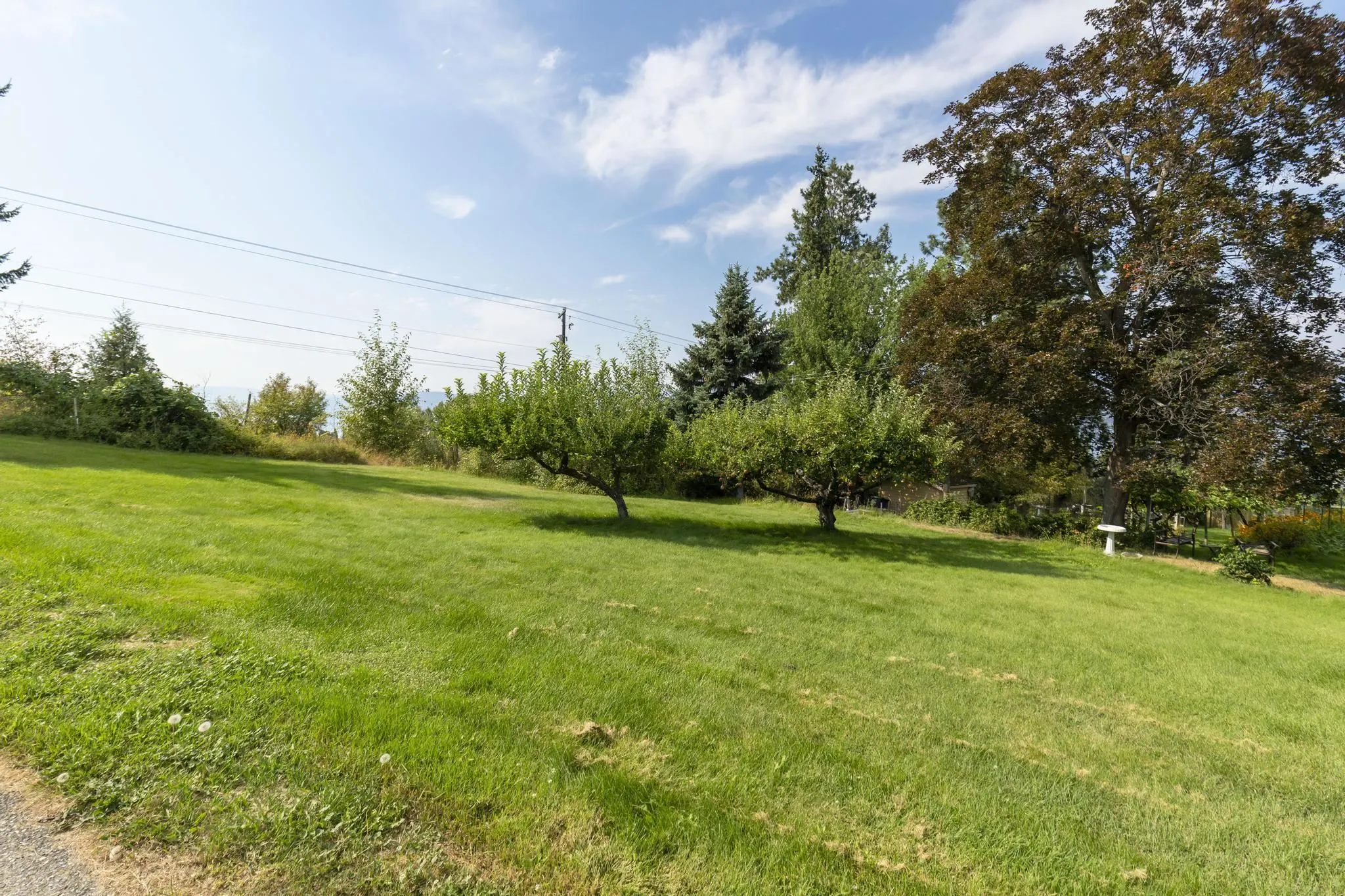 4980 Chute Lake Road