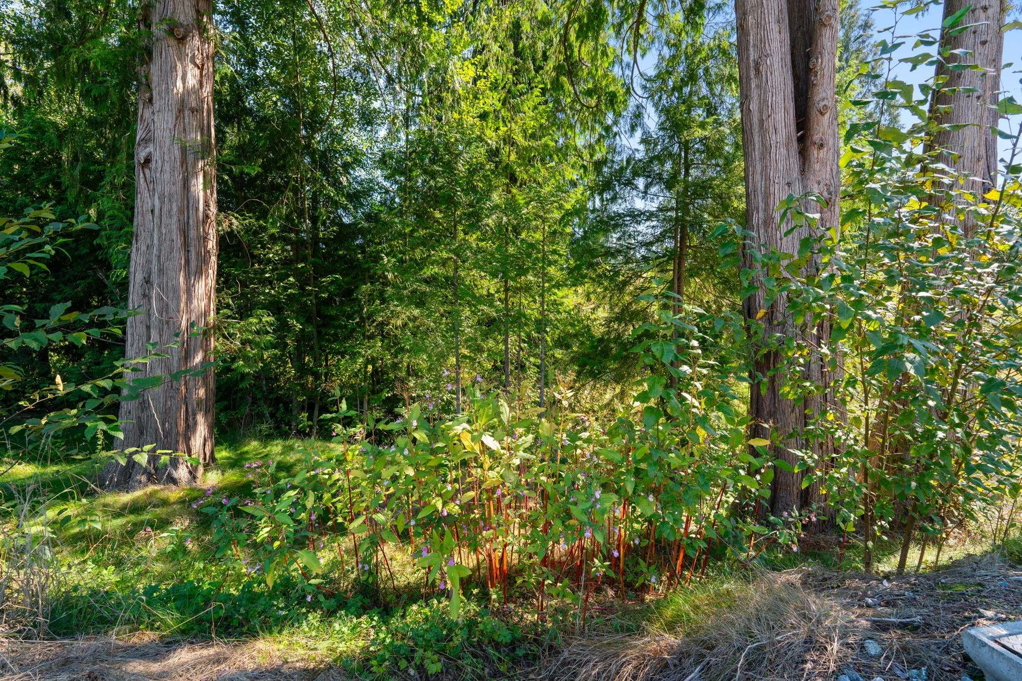 32295 Silver Creek Drive