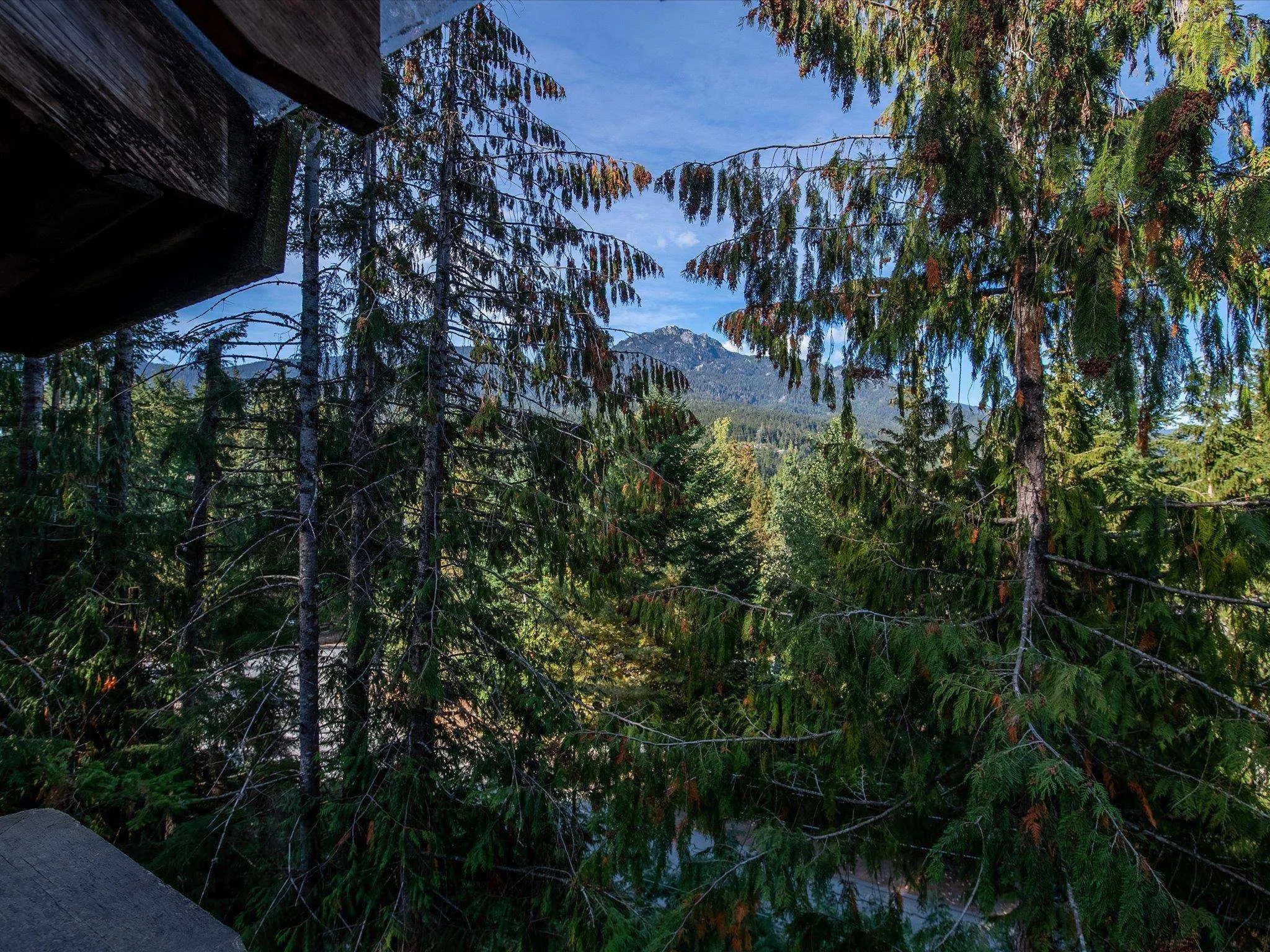 2317 Cheakamus Way