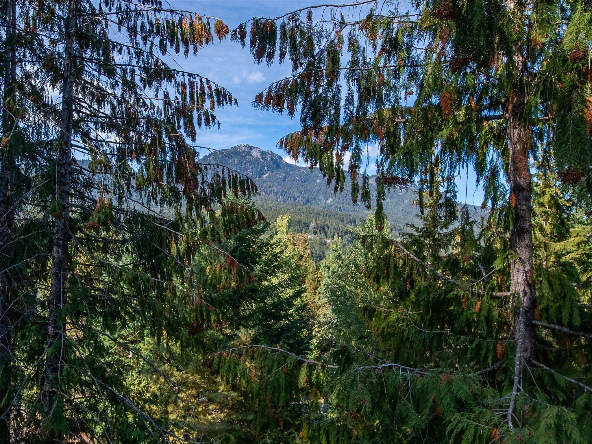 2317 Cheakamus Way