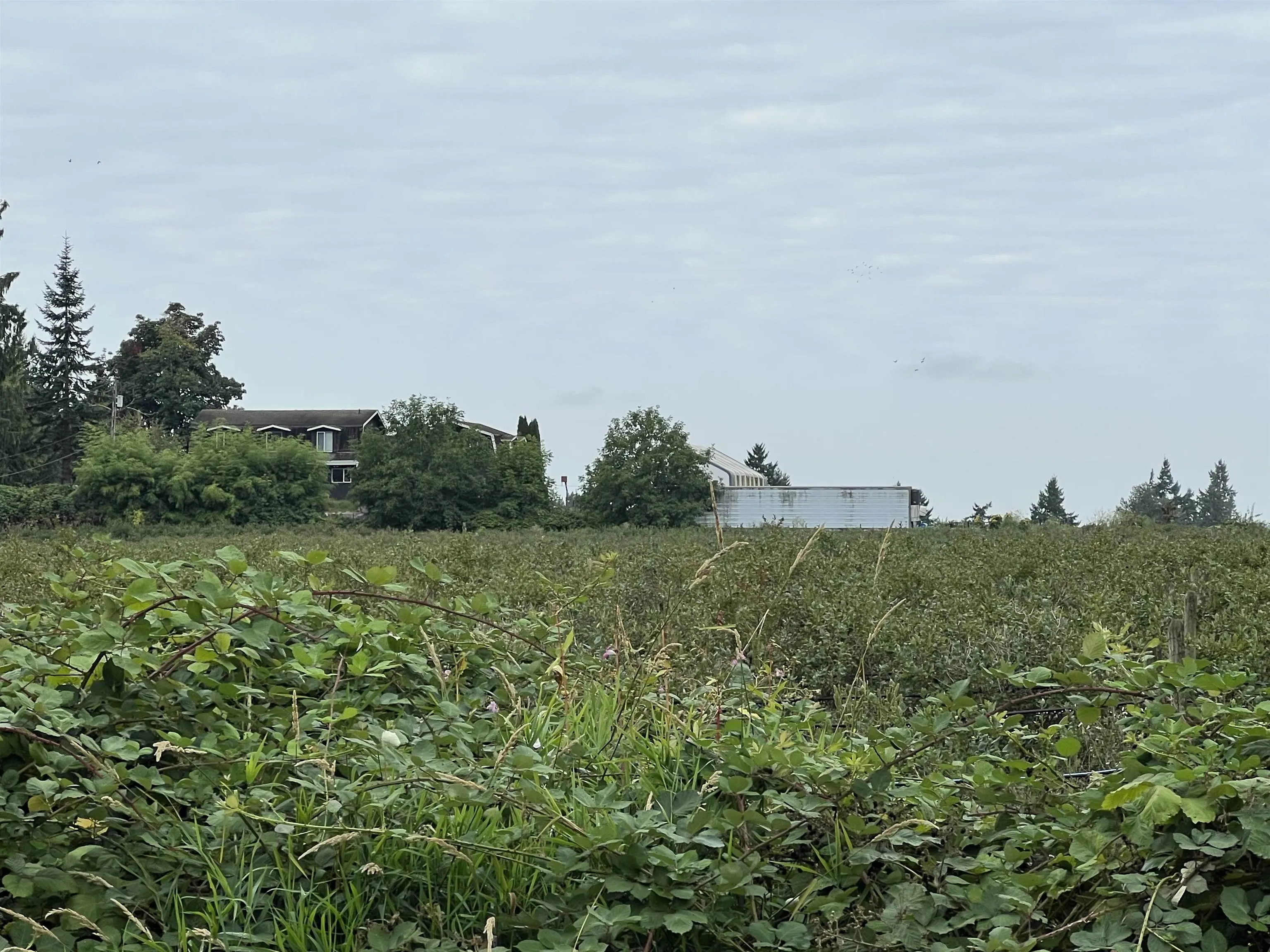 6863 Bradner Road