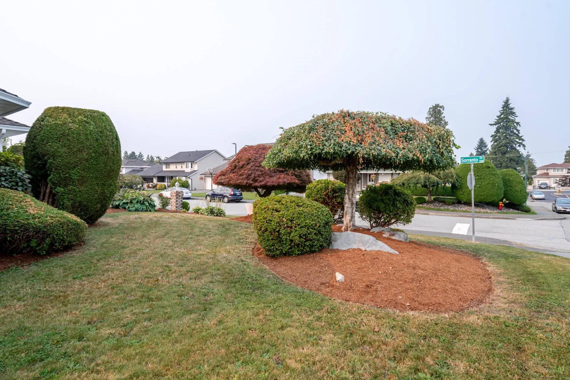 2203 Sorrento Drive