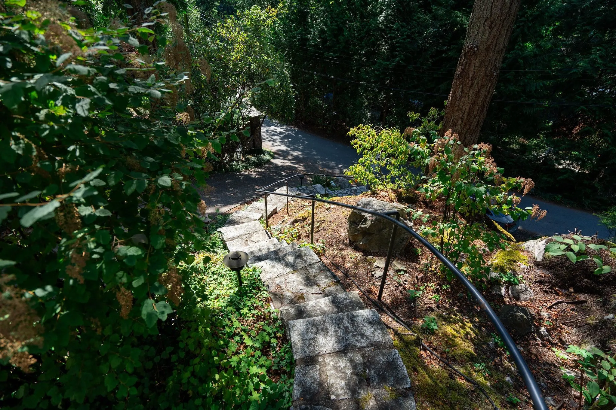 5061 Bear Lane