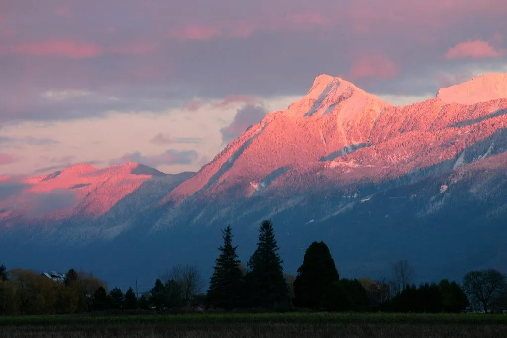 202 7685 Amber Drive