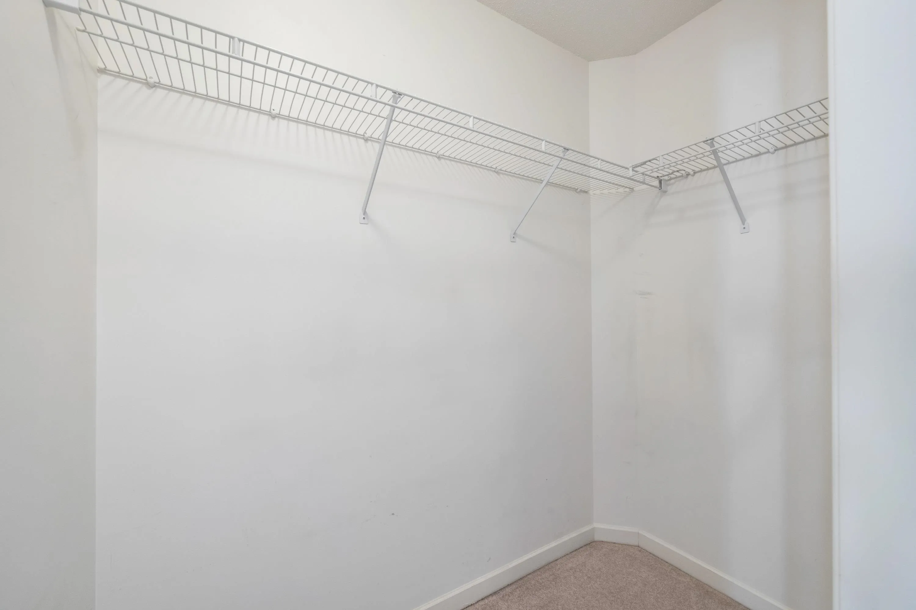 20 16888 80 Avenue