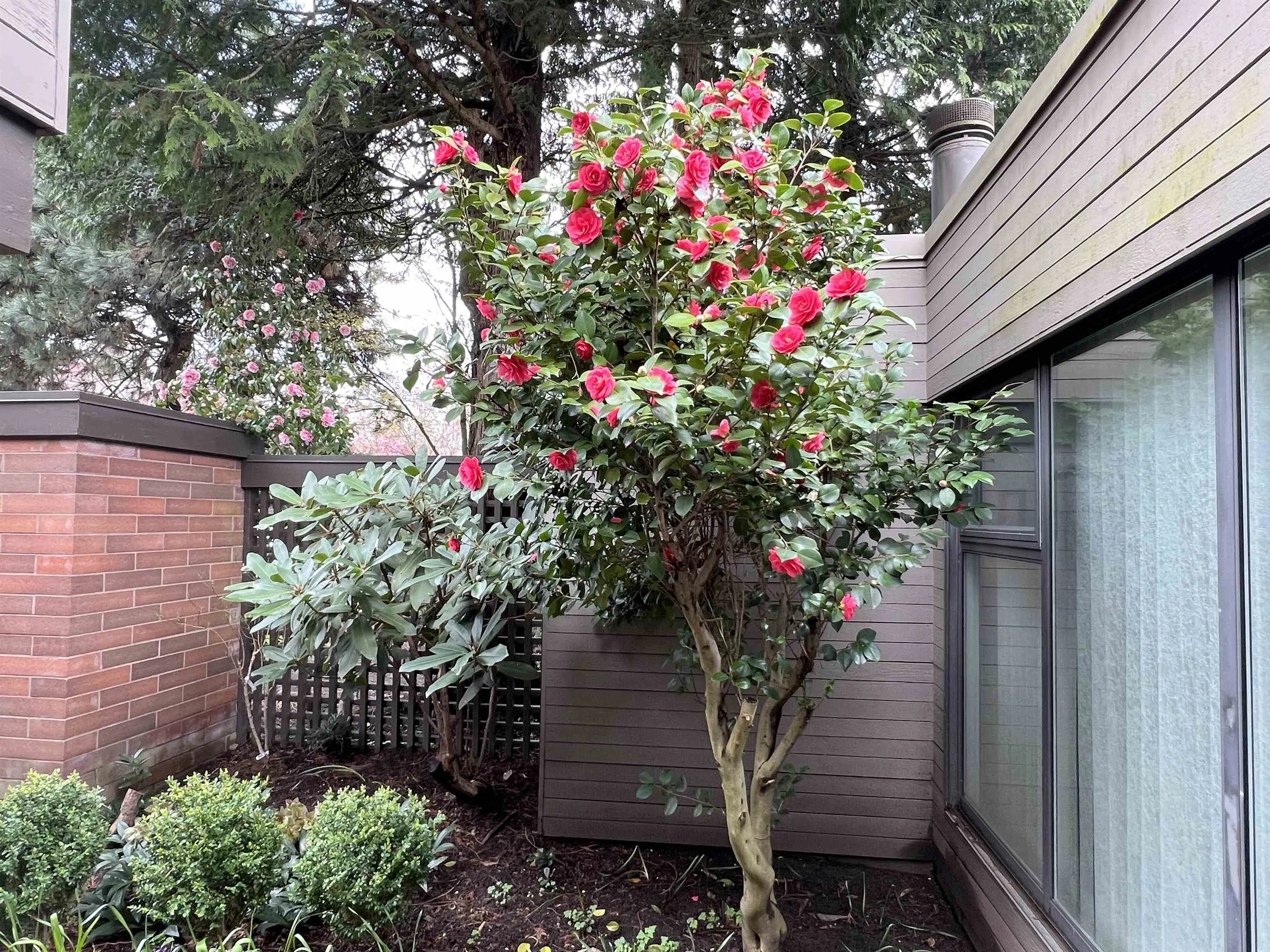 6554 Pinehurst Drive