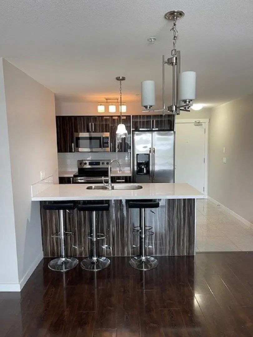 205 22318 Lougheed Highway