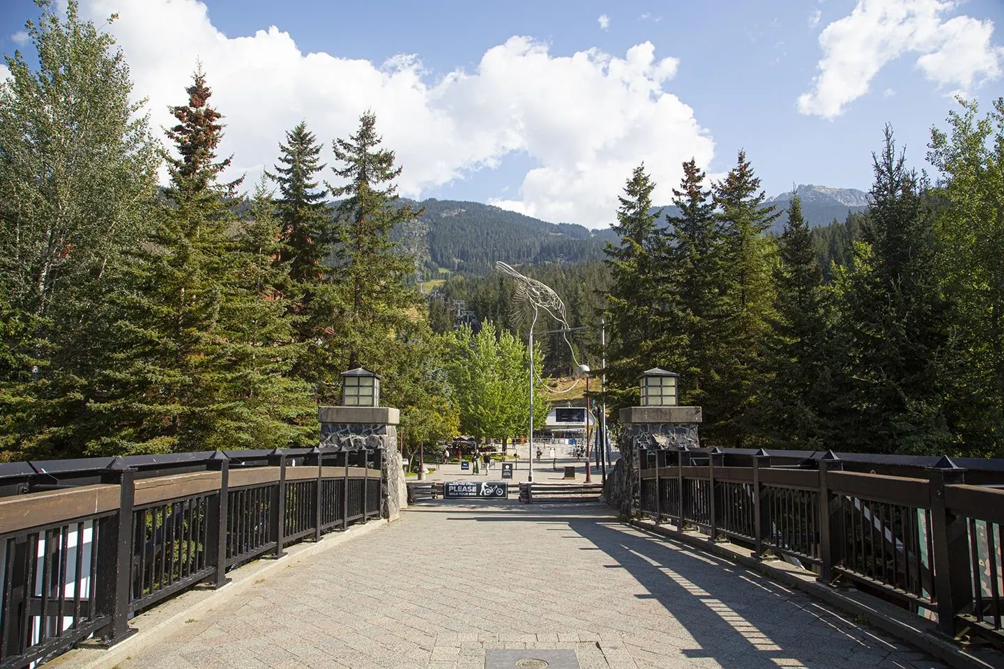 212 2111 Whistler Road