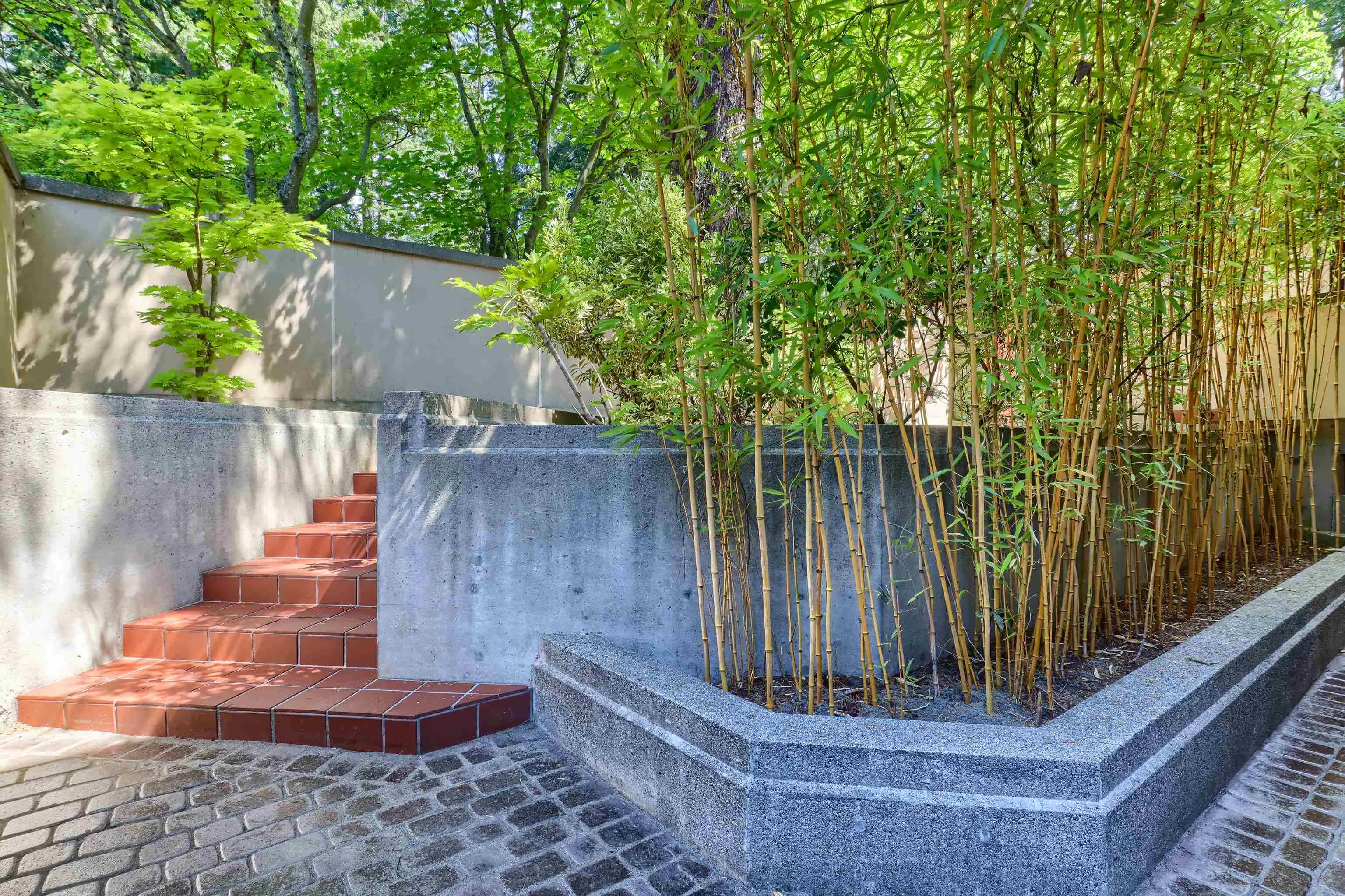 2423 Birney Place