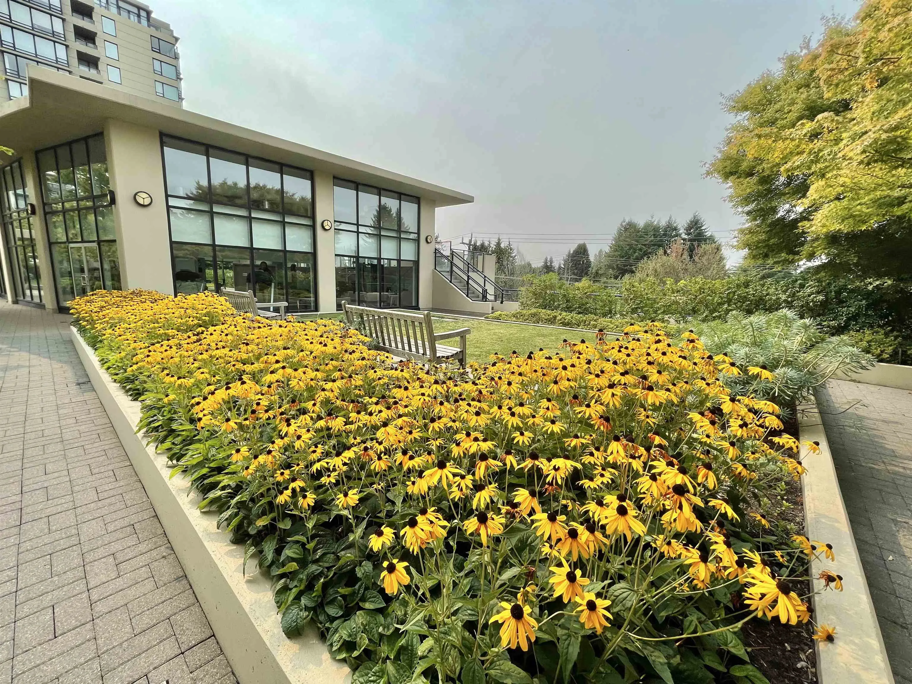 809 9180 Hemlock Drive