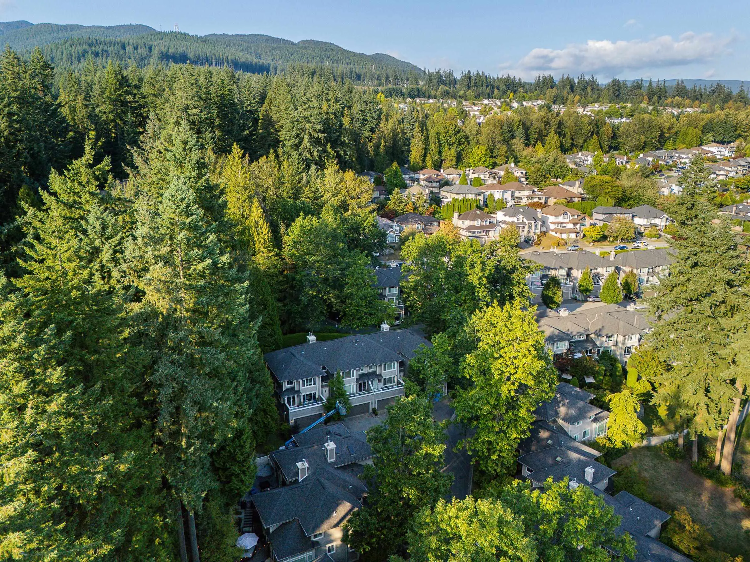 4 181 Ravine Drive