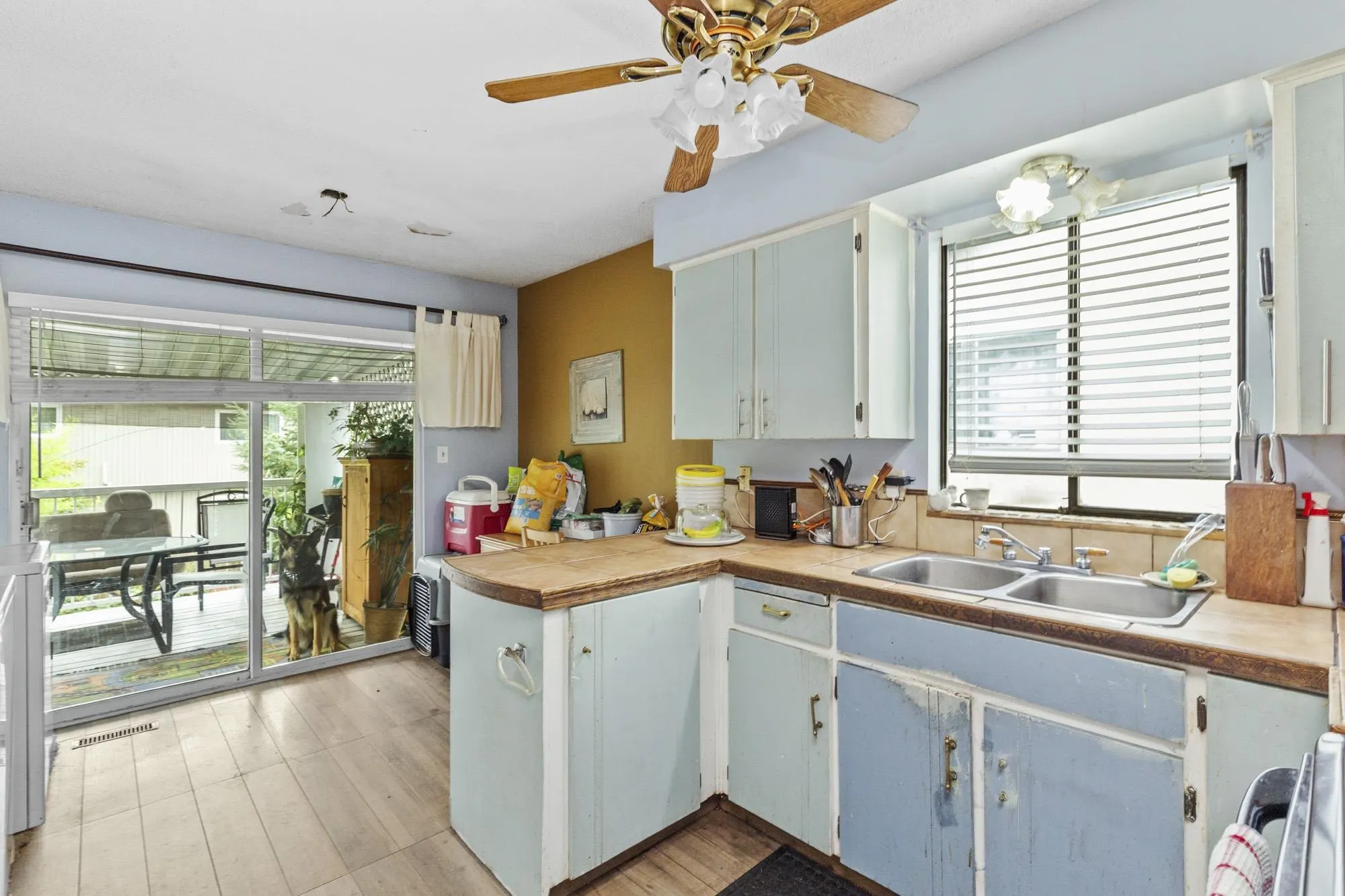 3230 Ballenas Court