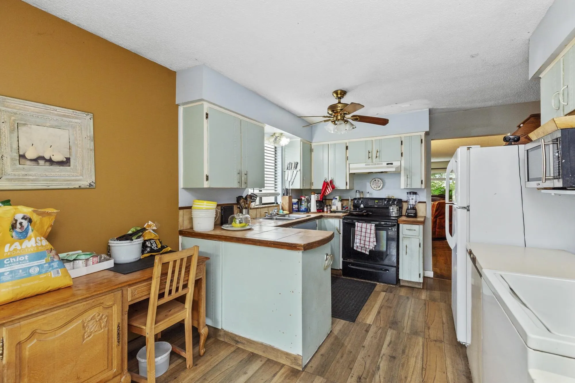 3230 Ballenas Court