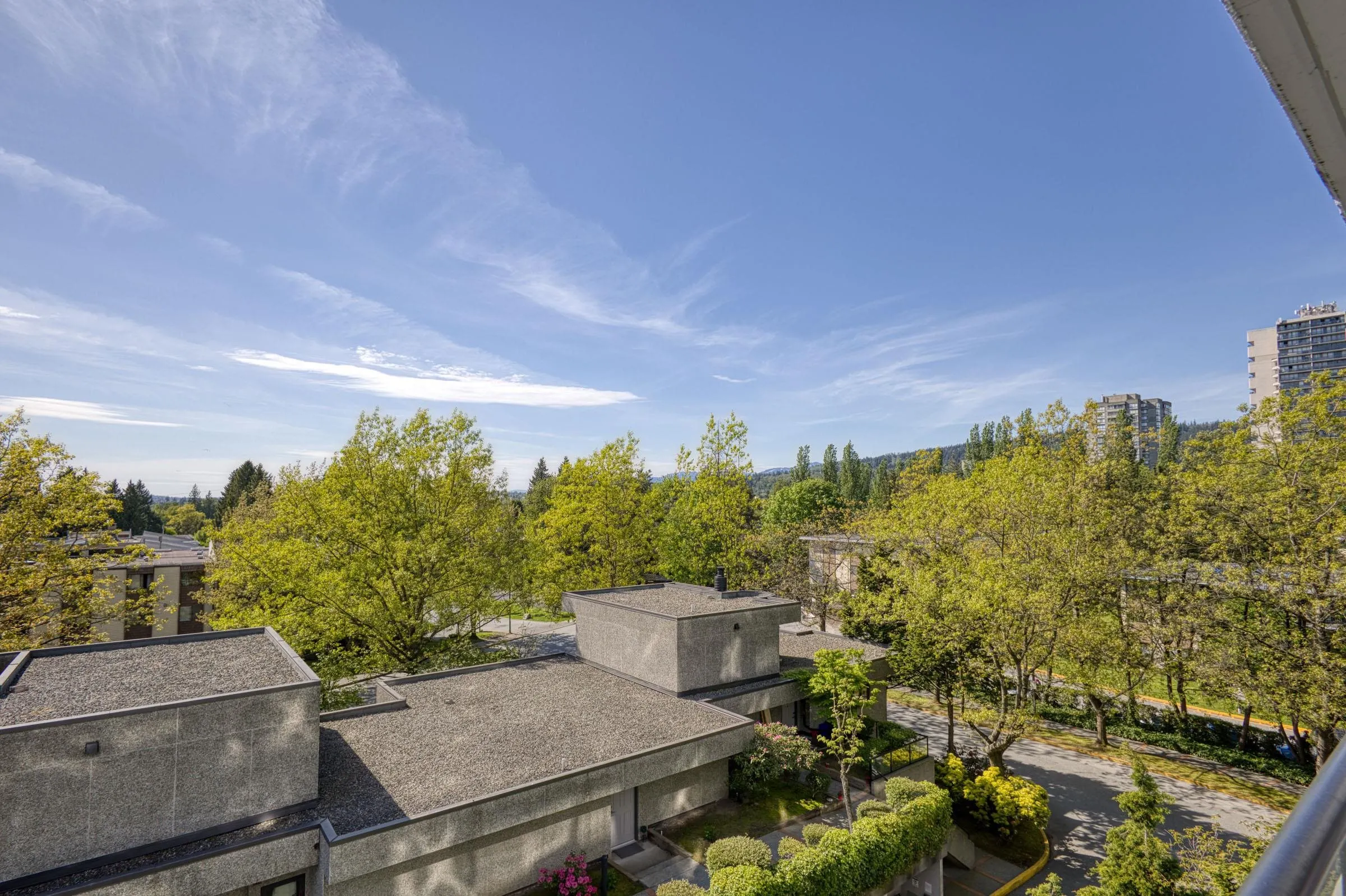 503 3980 Carrigan Court