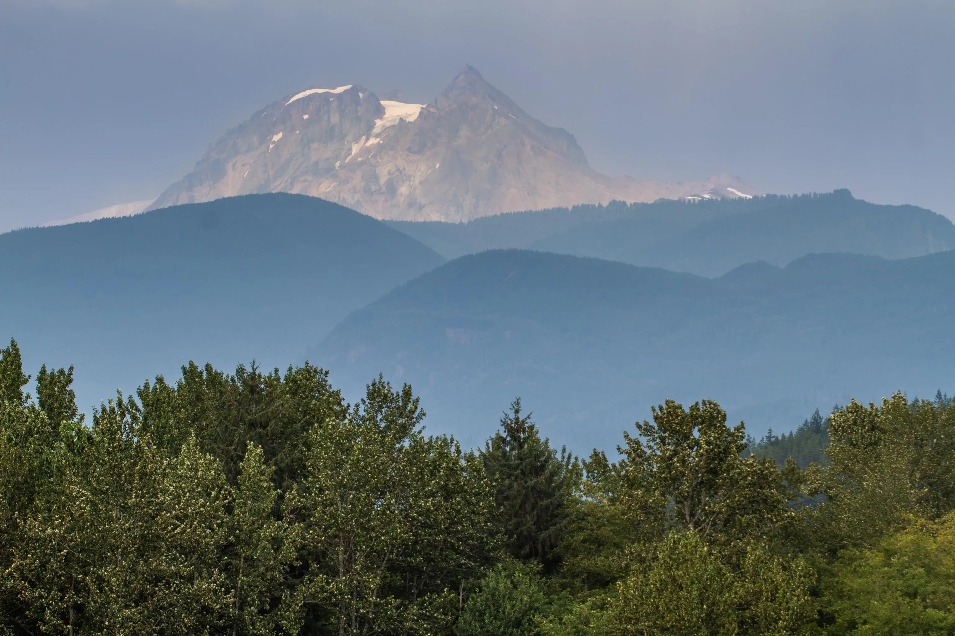 420 38362 Buckley Avenue