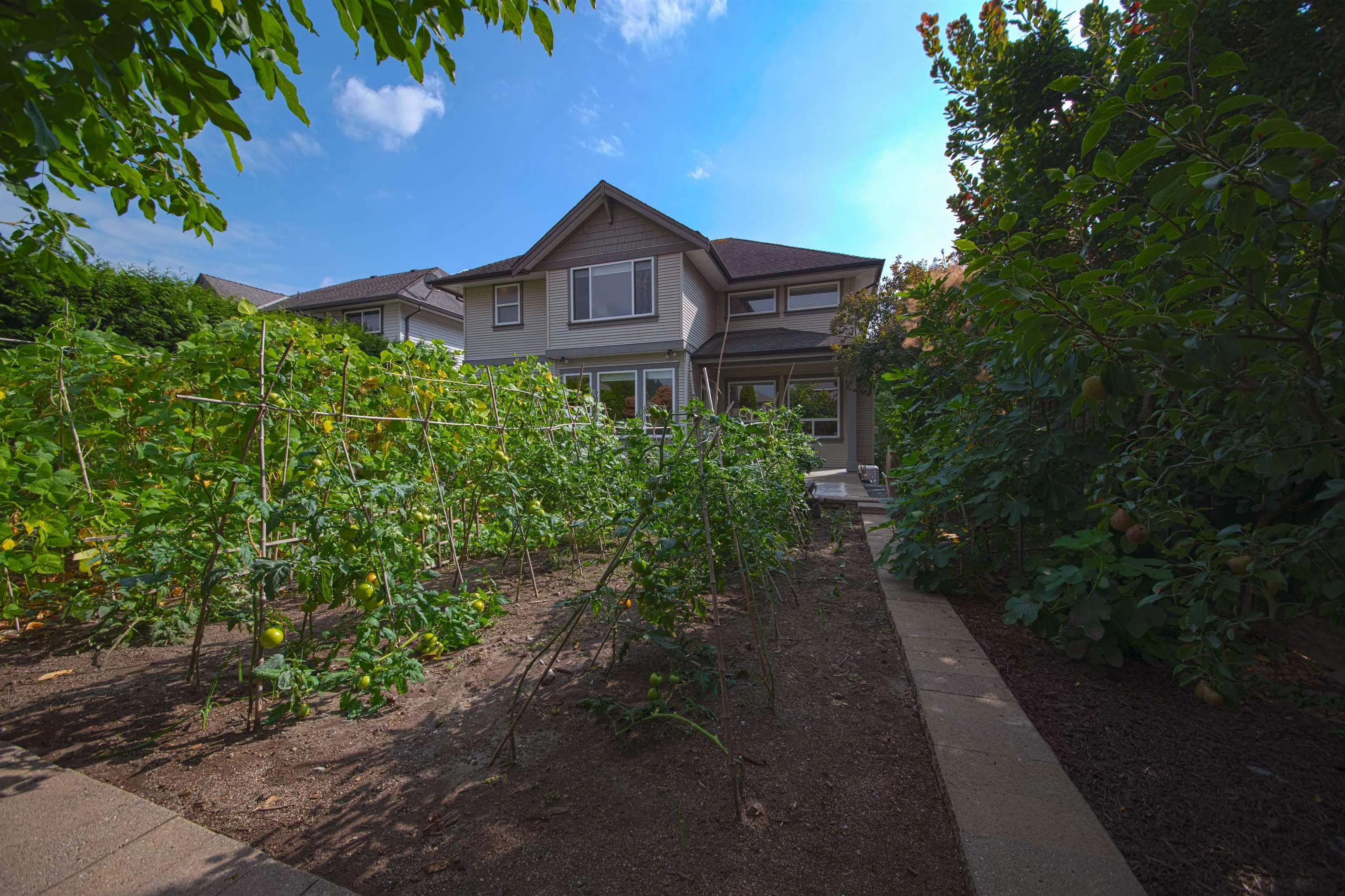3301 Mctavish Court