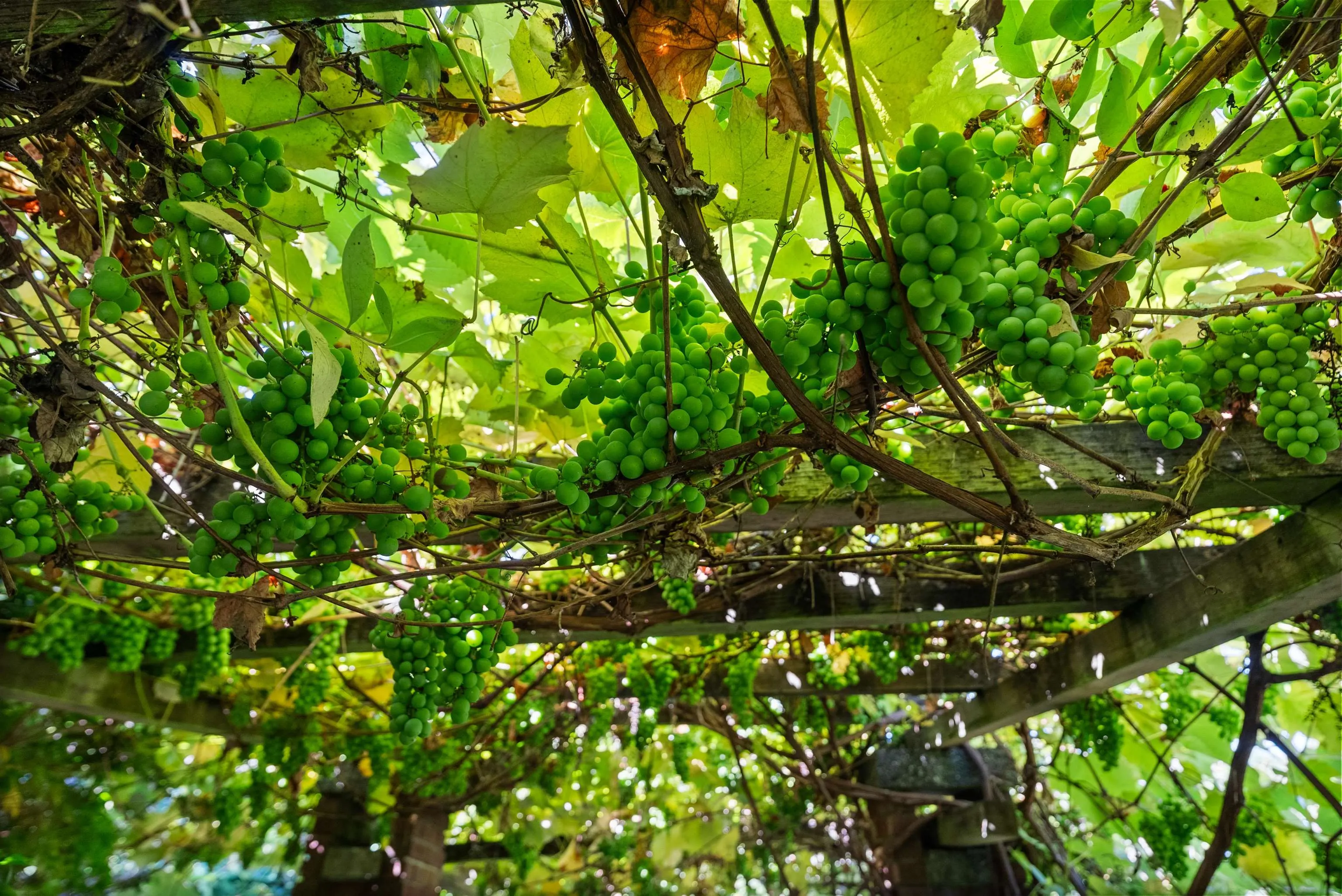 2206 SW Marine Drive