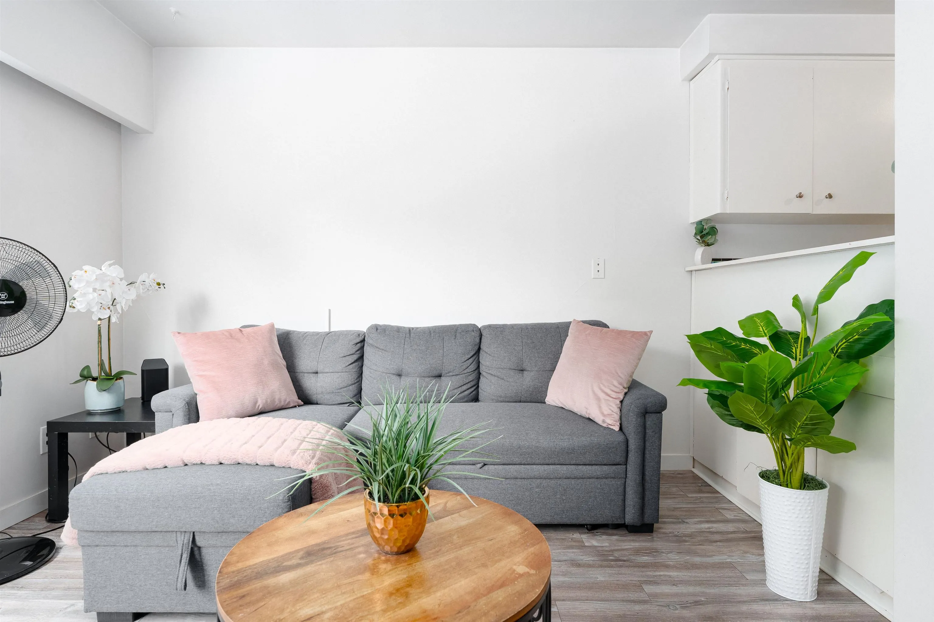 204 -PROMO 1540 Haro Street
