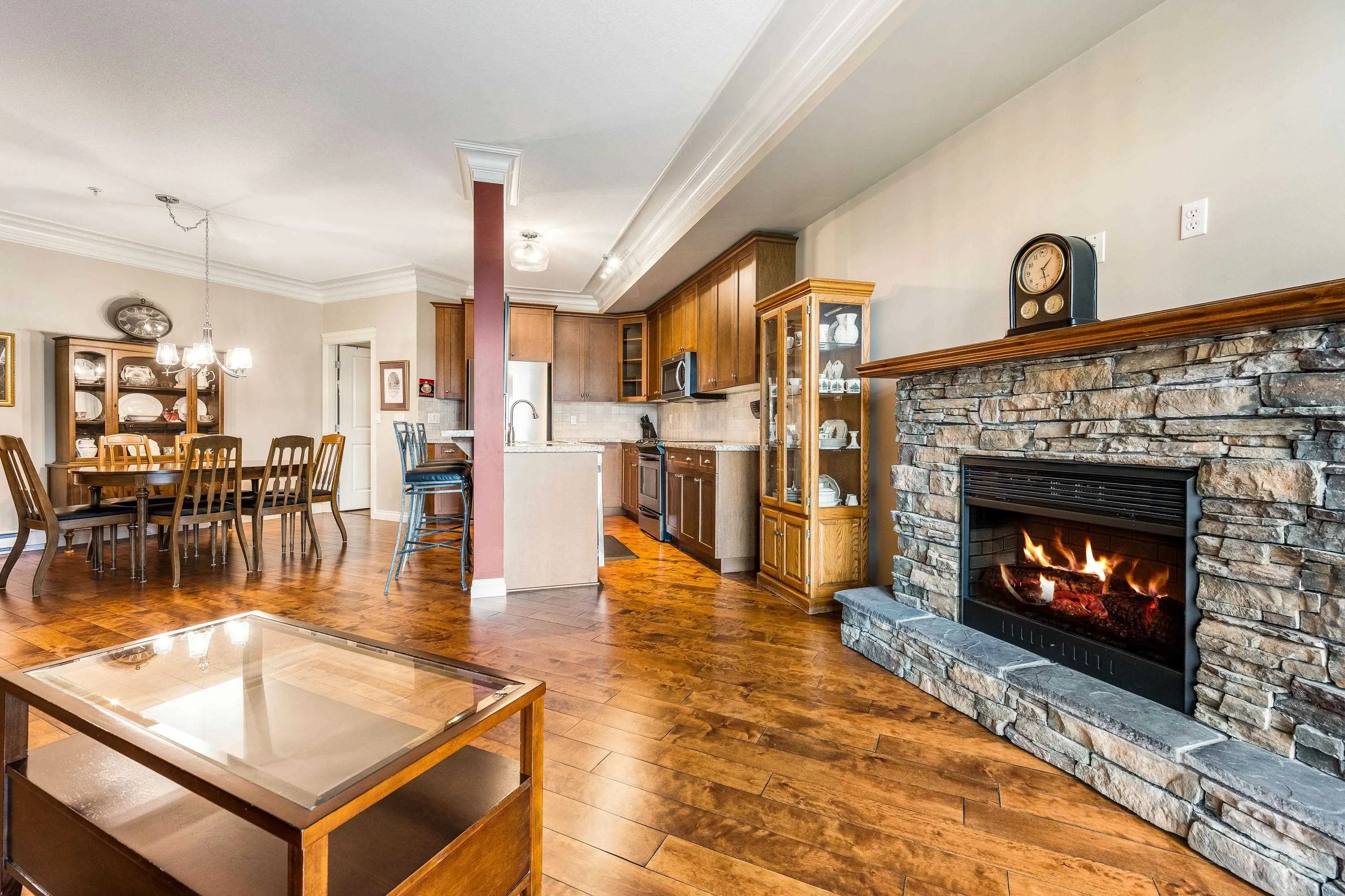 202 32729 Garibaldi Drive